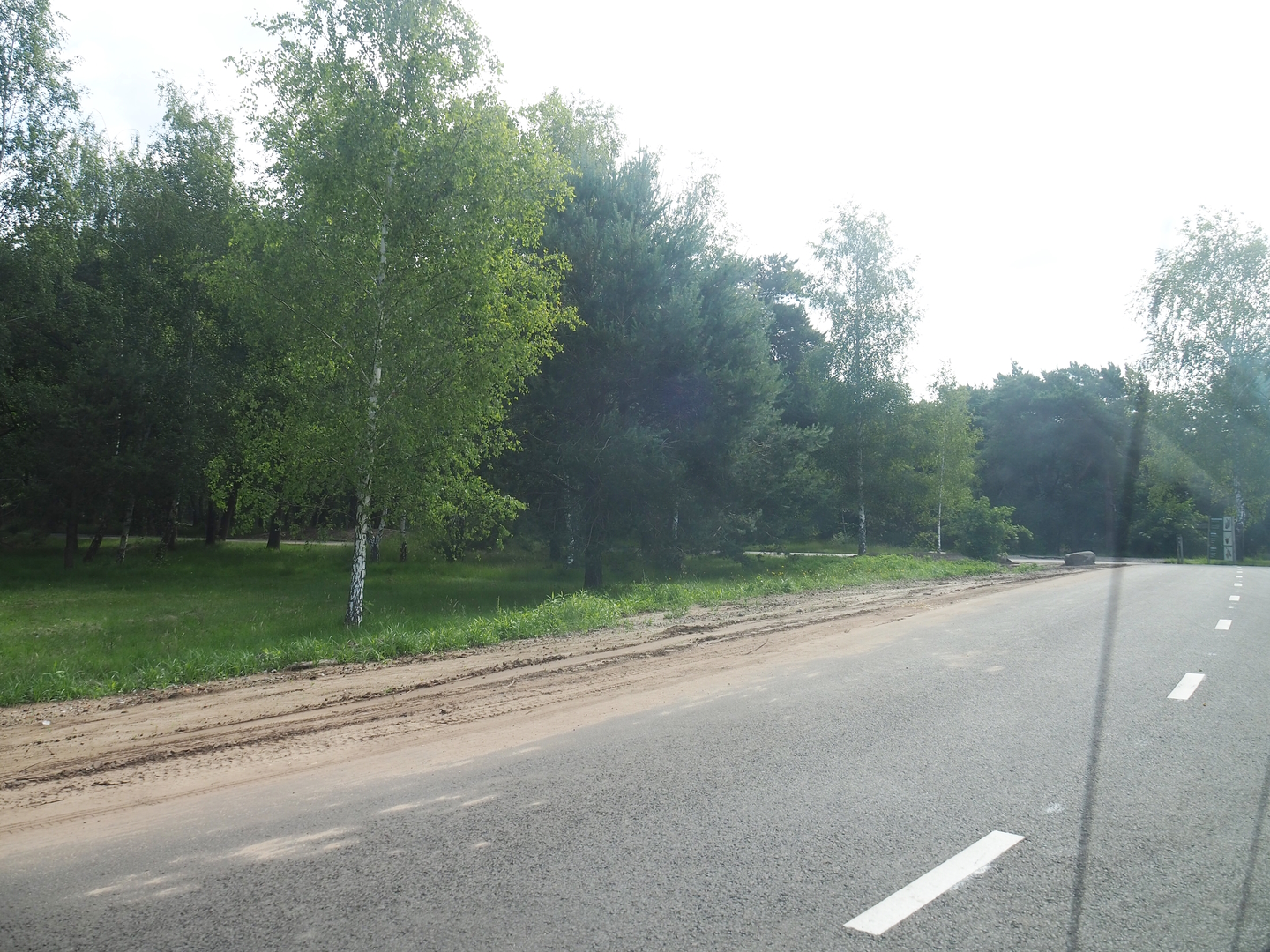 South African cheetah drive-through exhibit, 2022-06-12