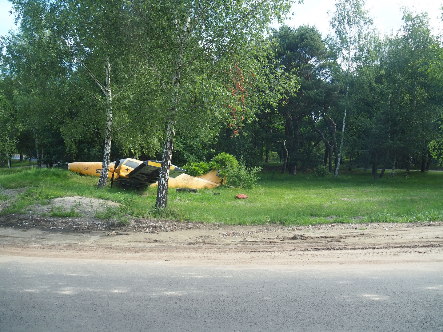 South African cheetah drive-through exhibit (With crashed plane), 2022-06-12