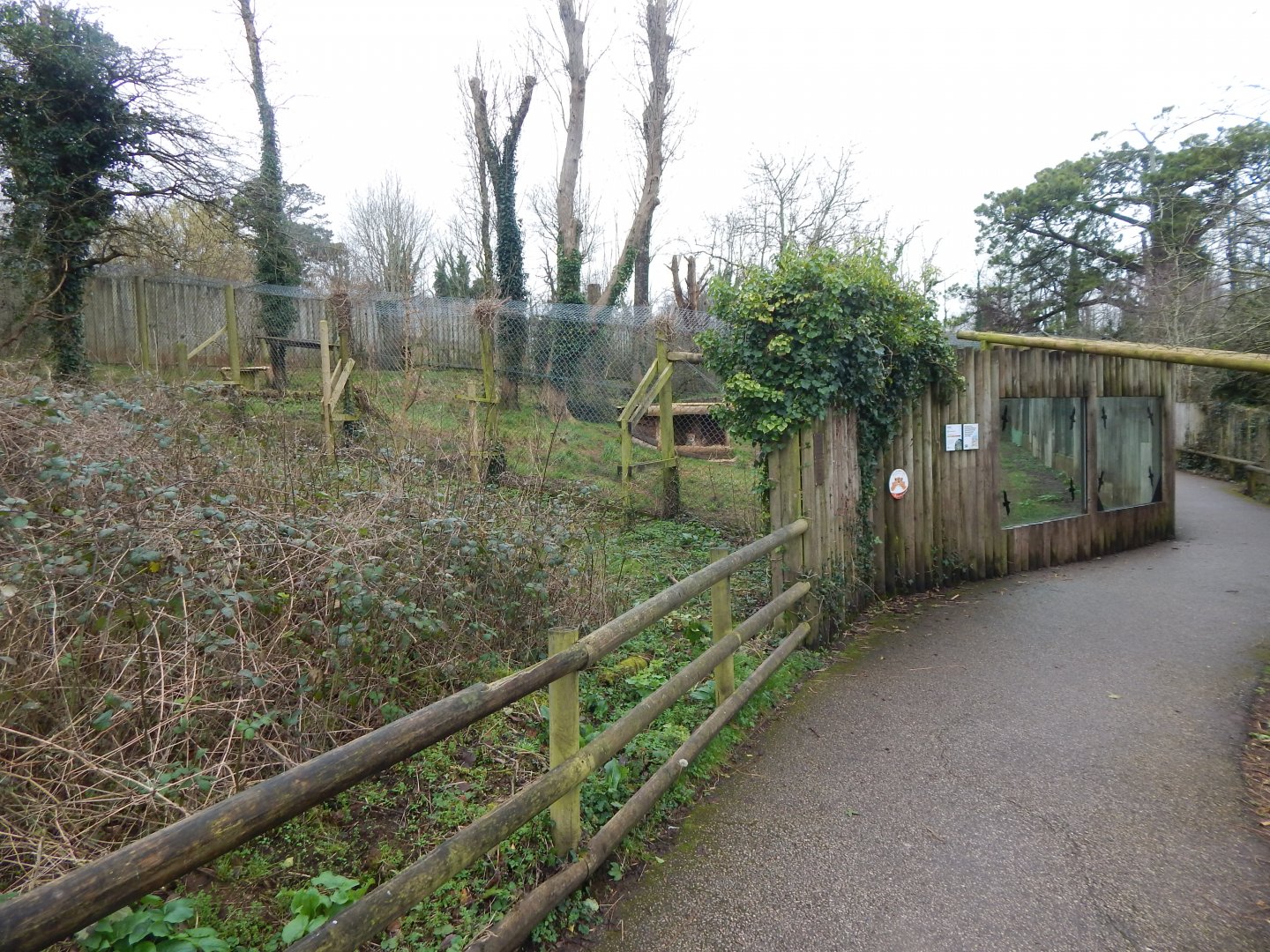 South African cheetah enclosure 050224