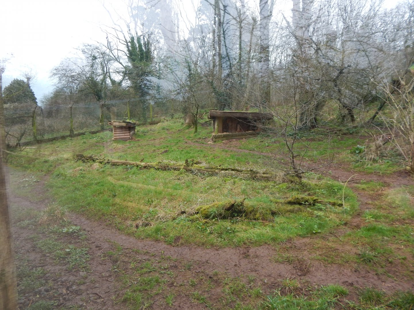 South African cheetah enclosure 050224