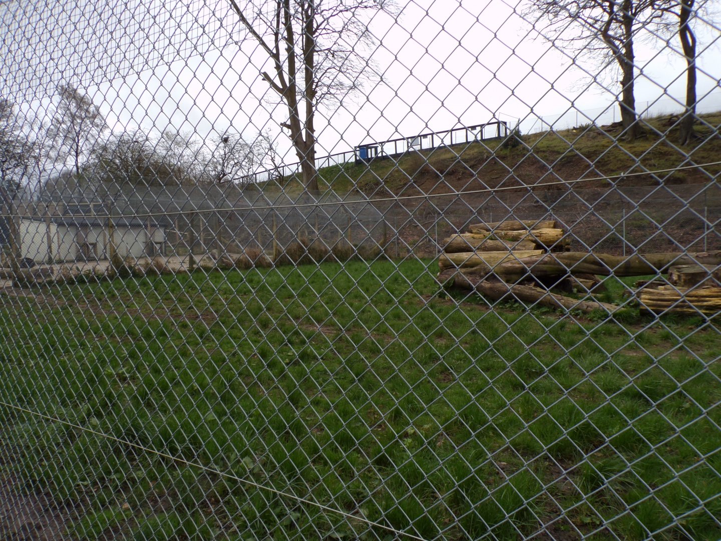 South African cheetah enclosure 12.4.24