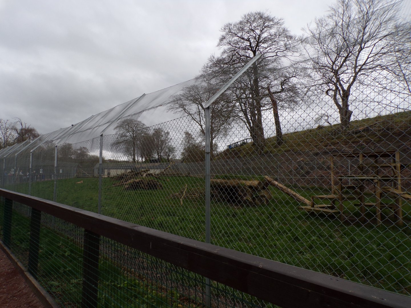 South African cheetah enclosure 12.4.24