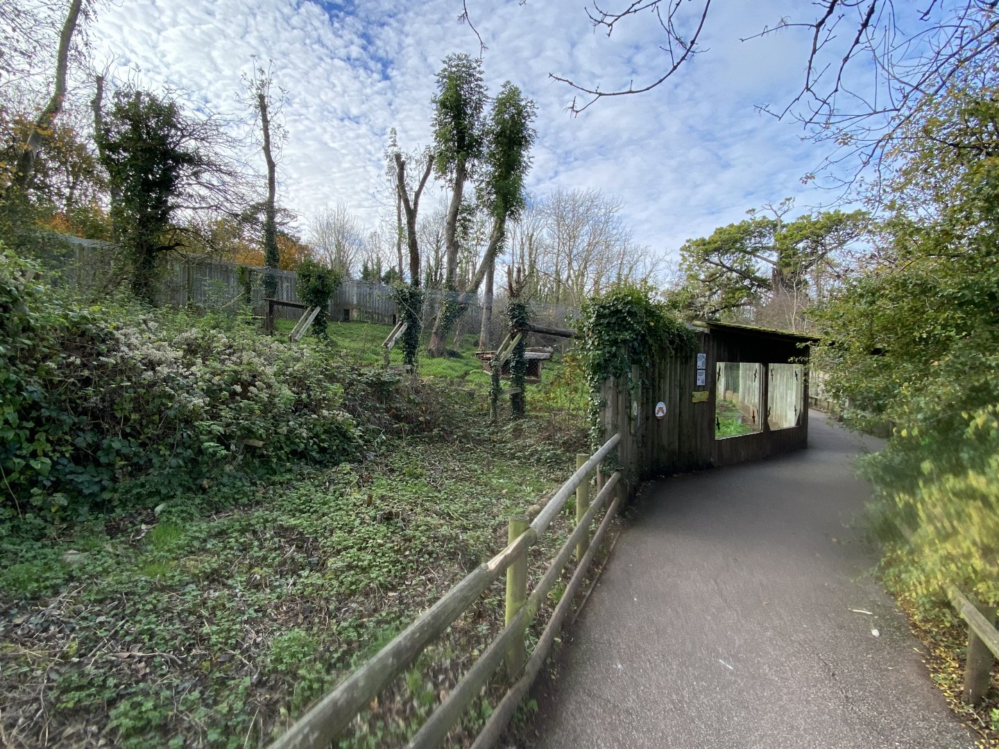 South African cheetah enclosure 201121