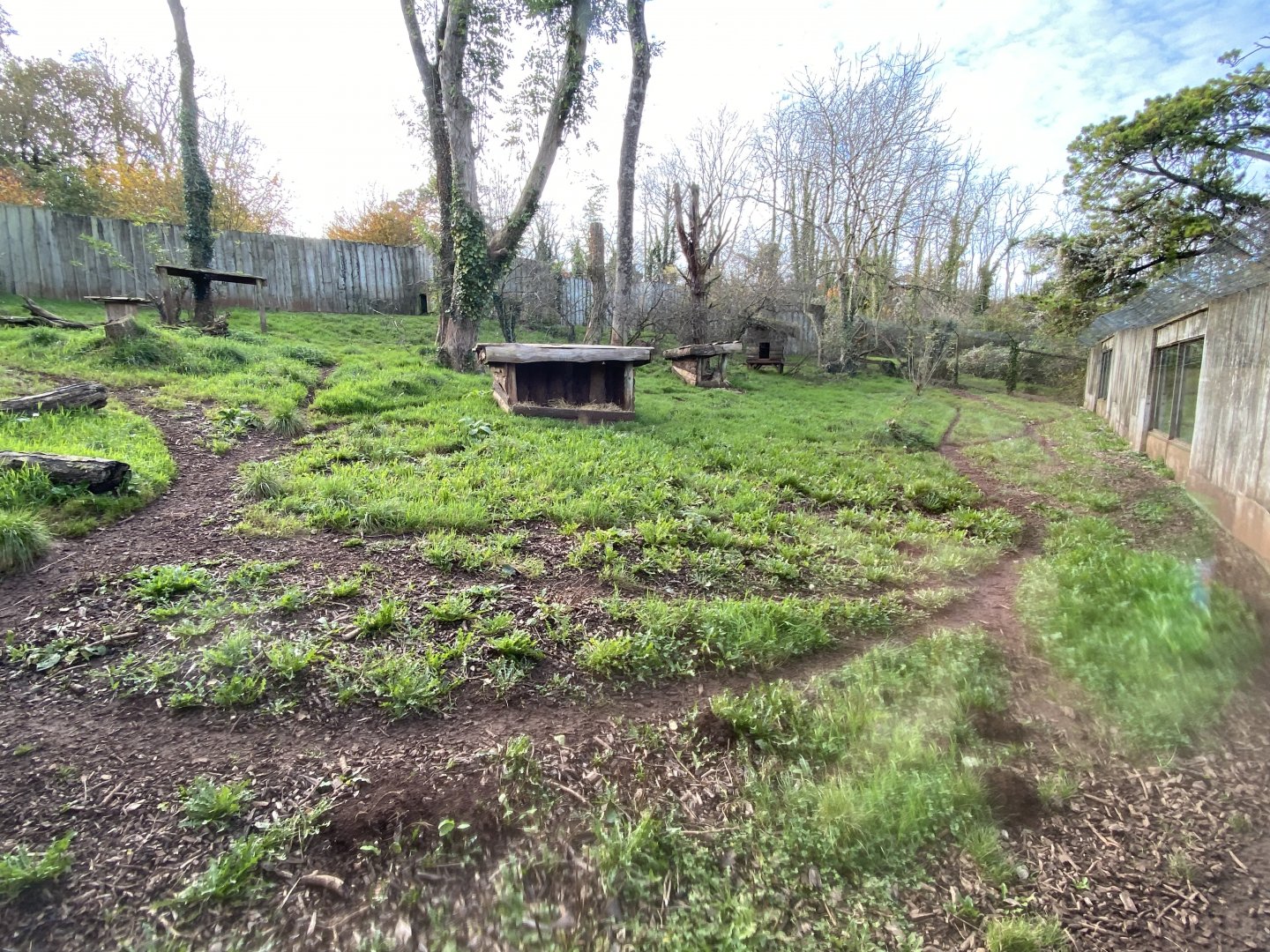 South African cheetah enclosure 201121