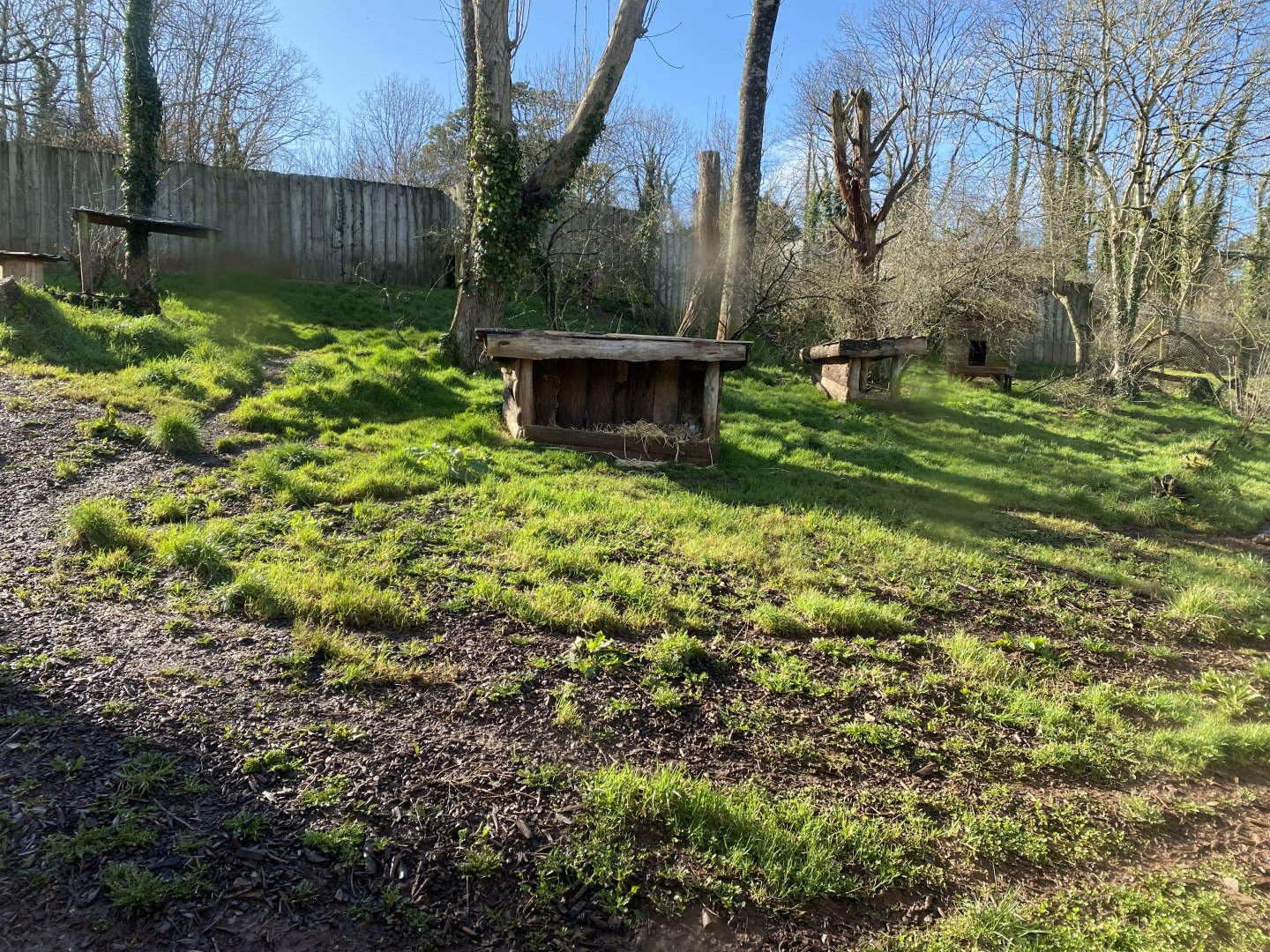 South African cheetah enclosure 240222