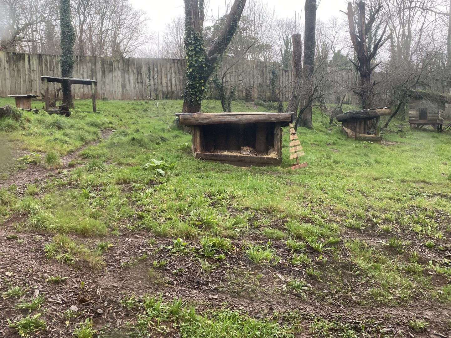 South African cheetah enclosure 301221