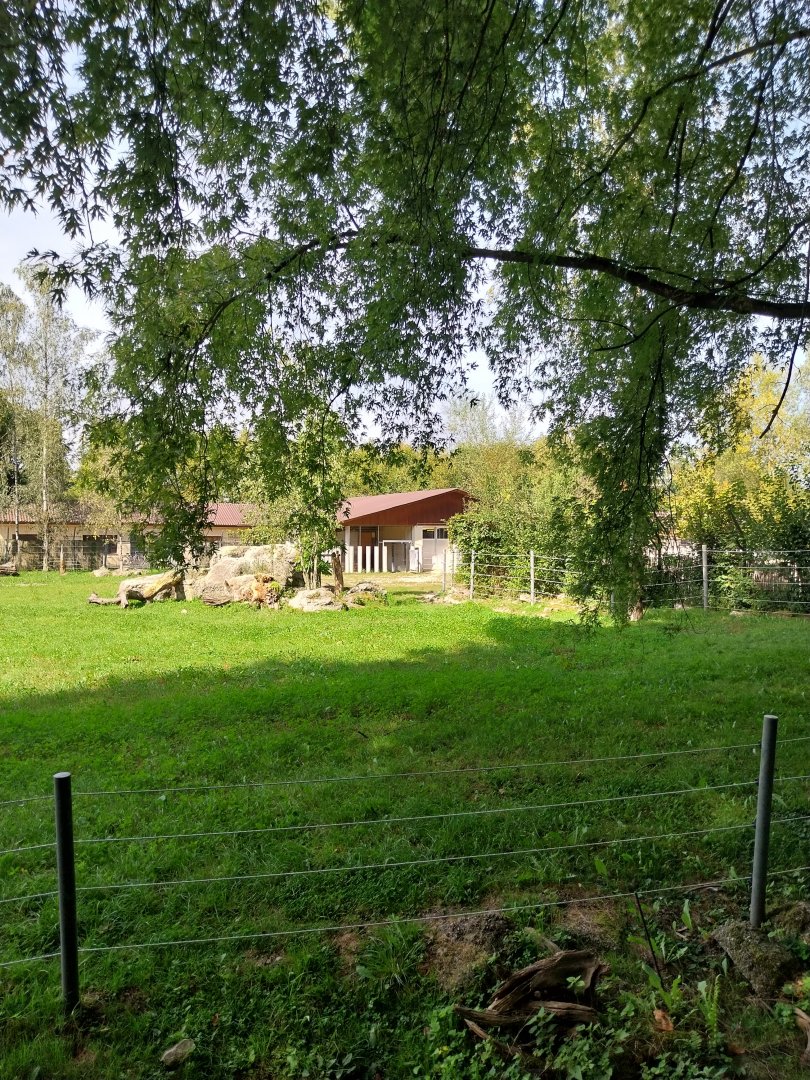 South African cheetah enclosure