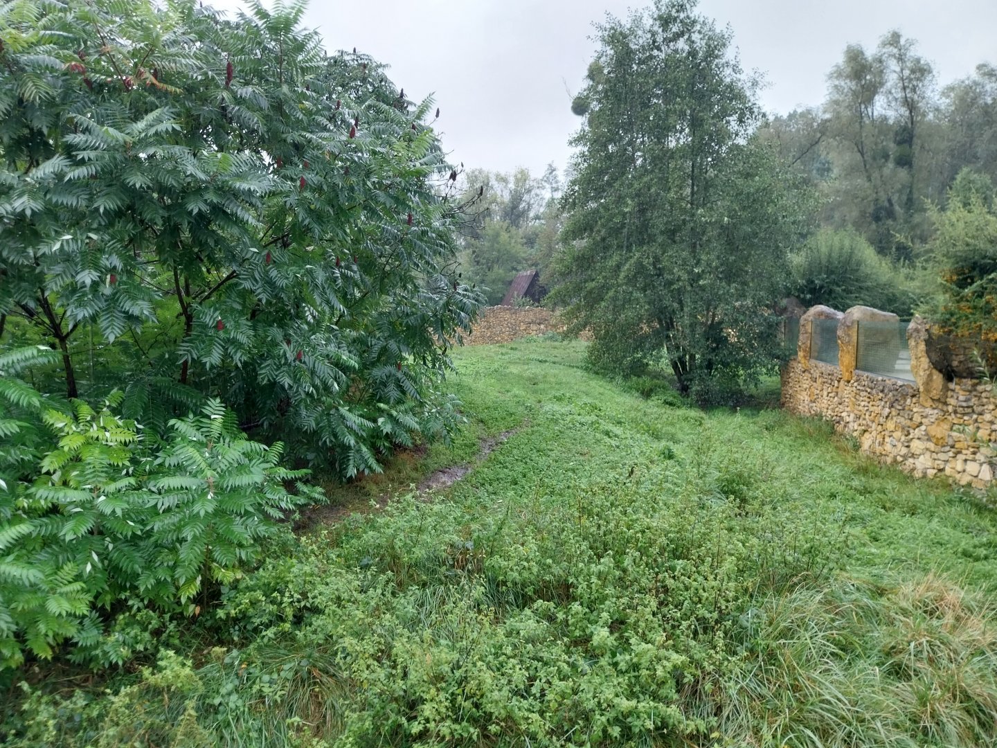 South African Cheetah enclosure