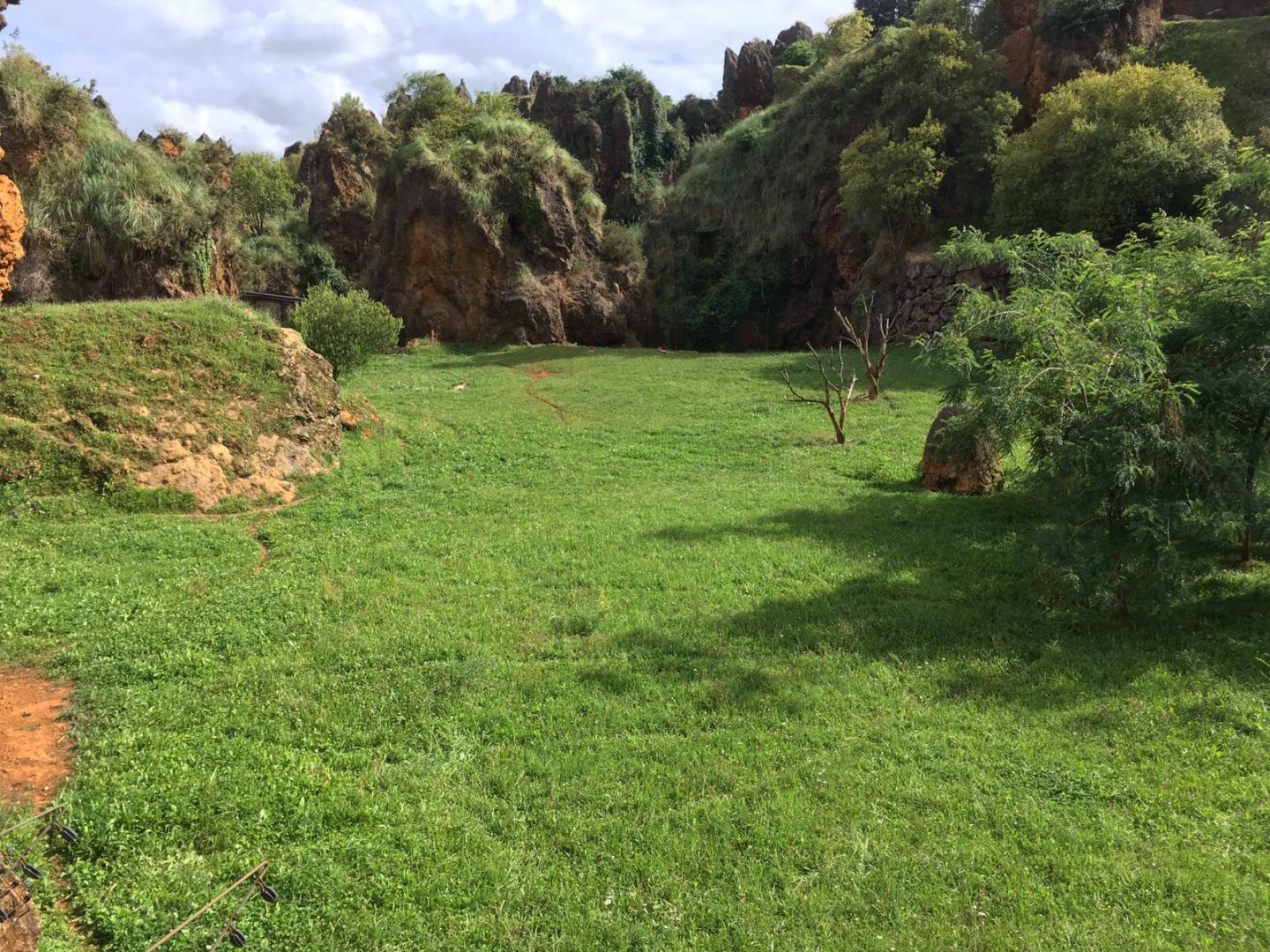 South African cheetah exhibit-Cabarceno 2019