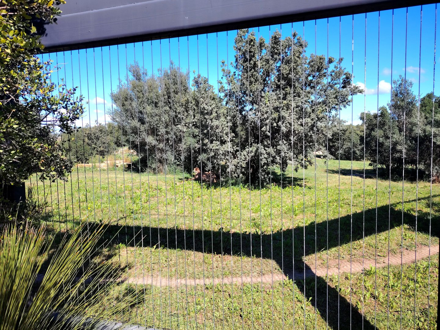 South African Cheetah Exhibit