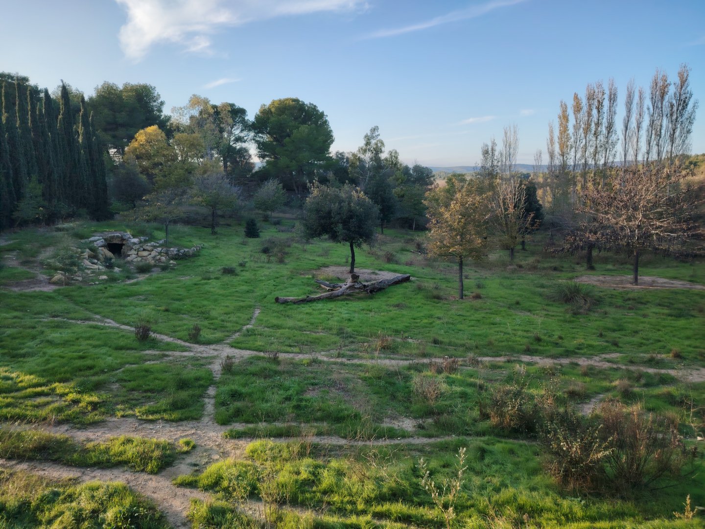 South african Cheetah Exhibit