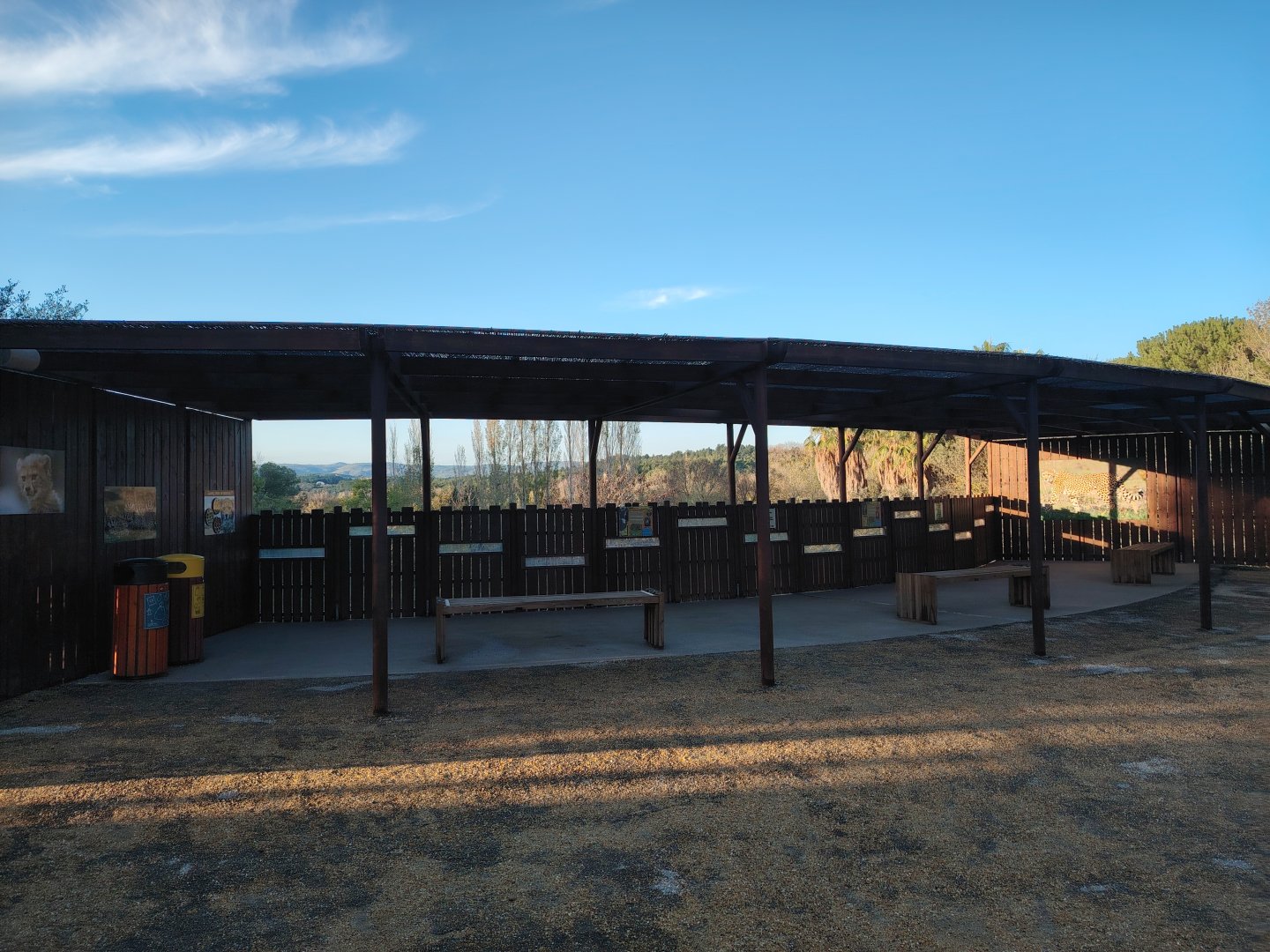 South african Cheetah Exhibit
