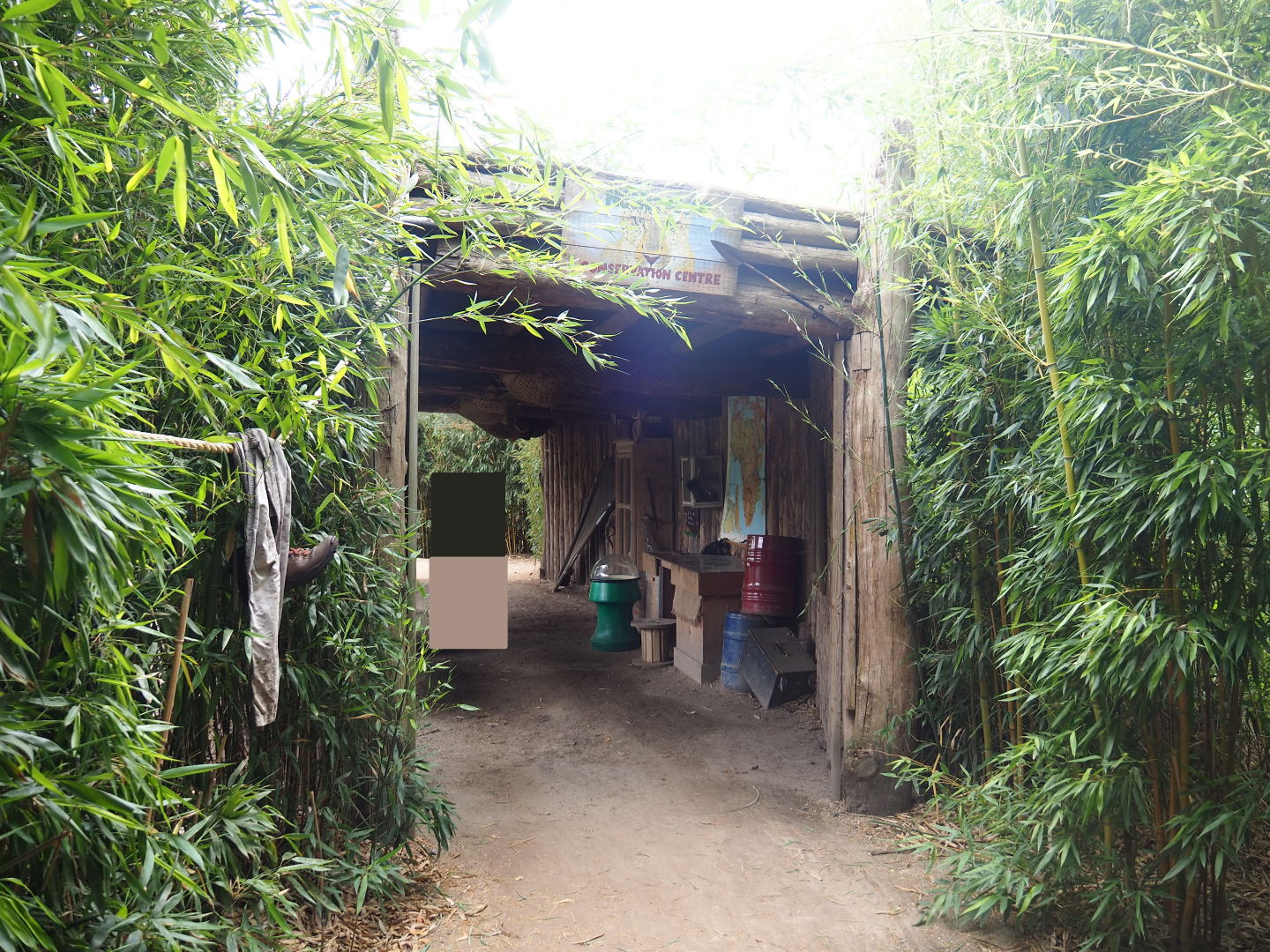 South African cheetah viewing area, 2019-08-11