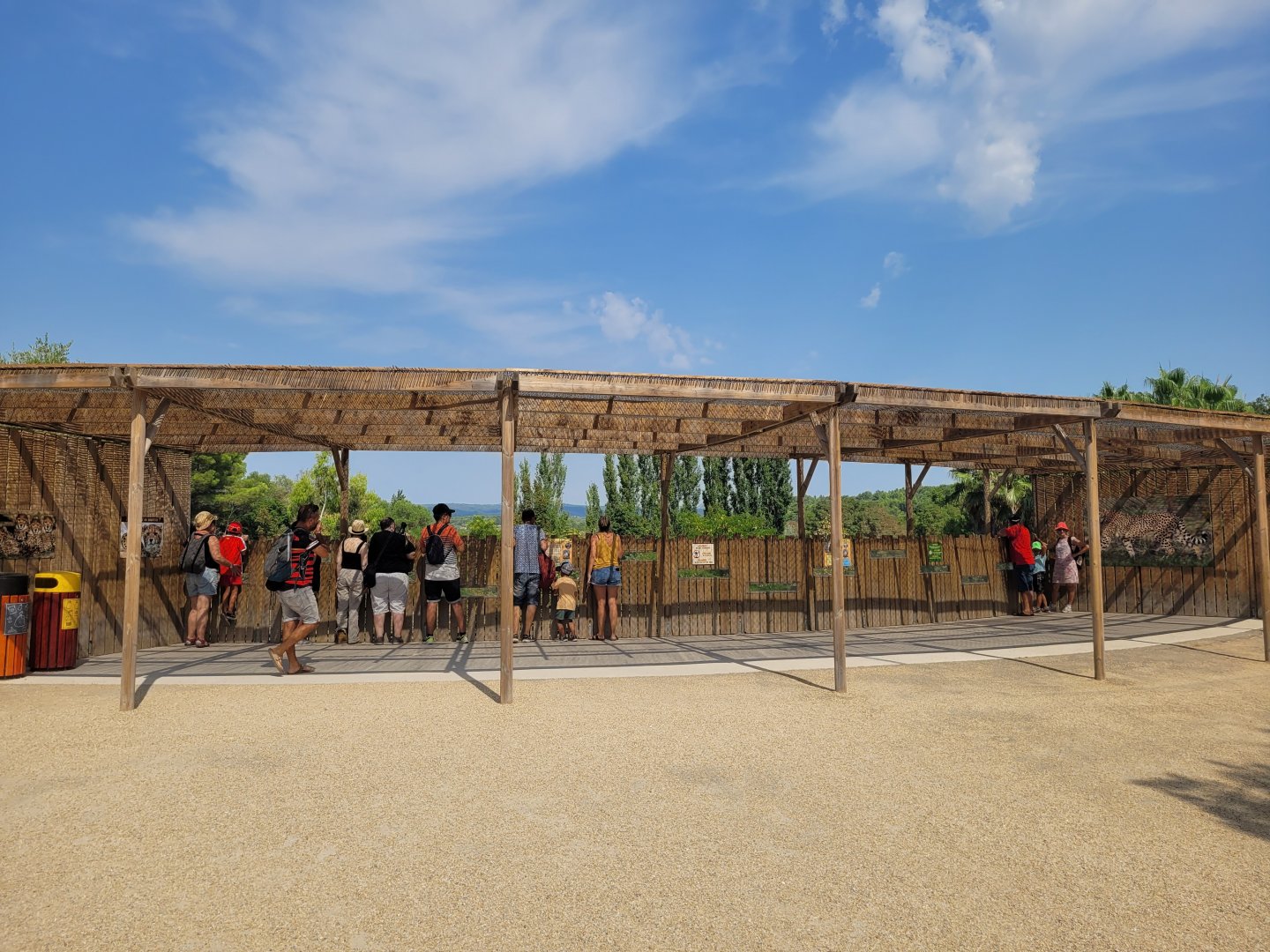 South African cheetah viewing point -Réserve Africaine de Sigean (2022)