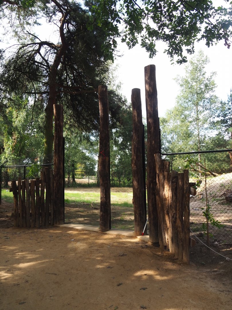 South African cheetah viewing window, 2023-08-15