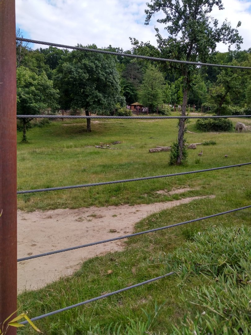 South African elephant enclosure