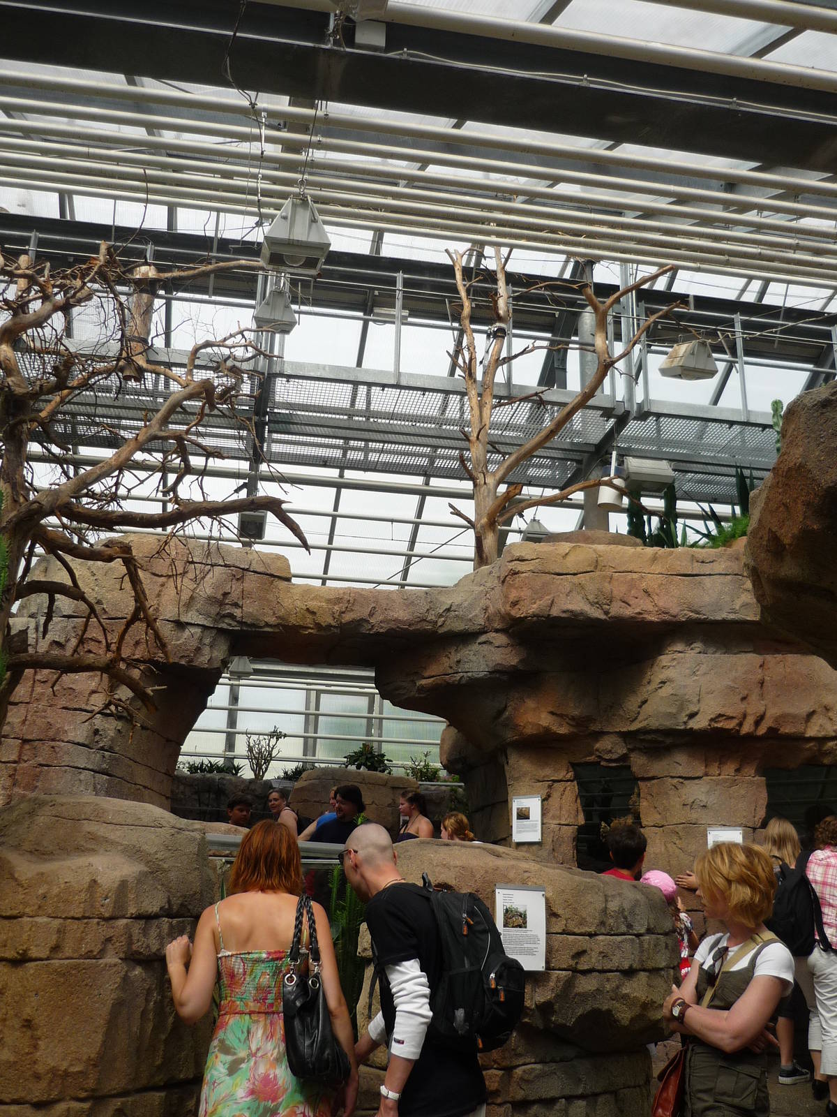 South African Exhibits