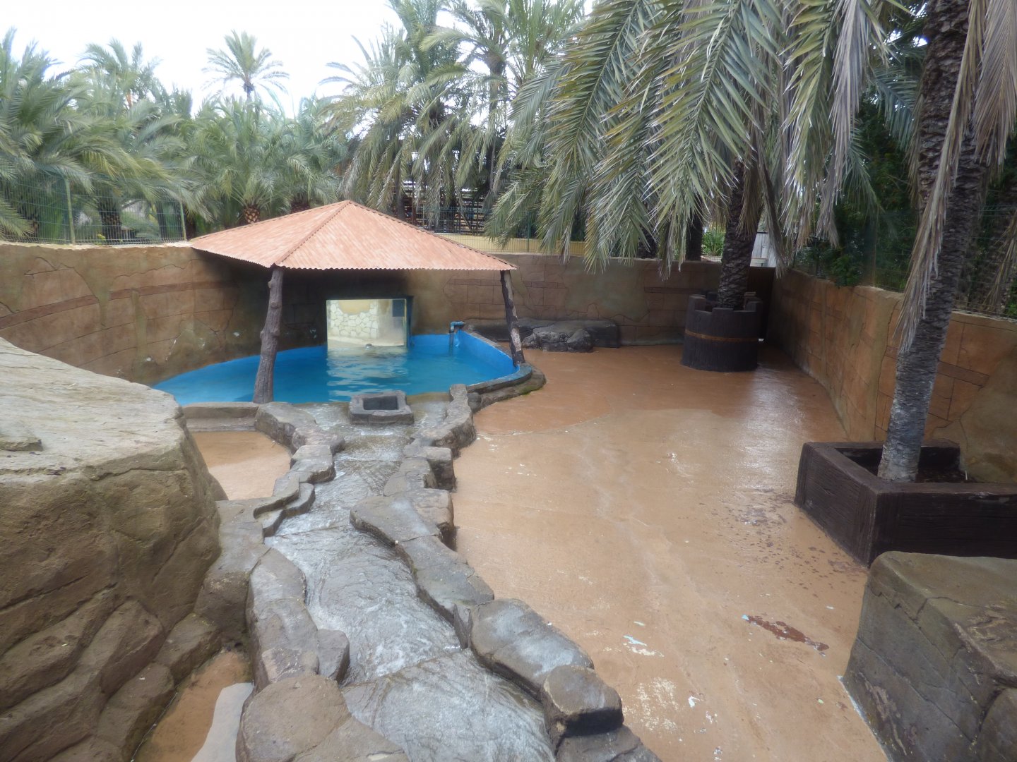South African Fur Seal Enclosure