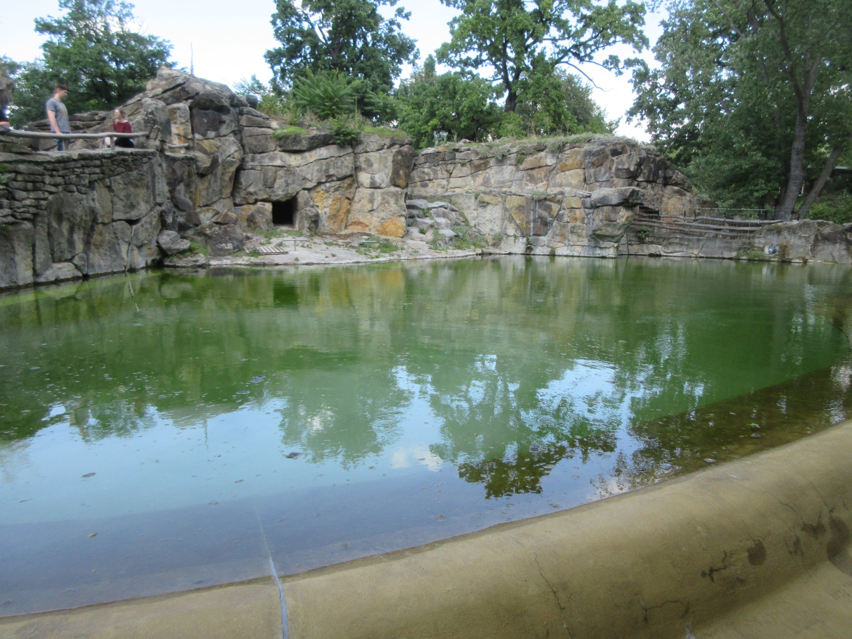 South African Fur Seal Exhibit - devoid of animals?