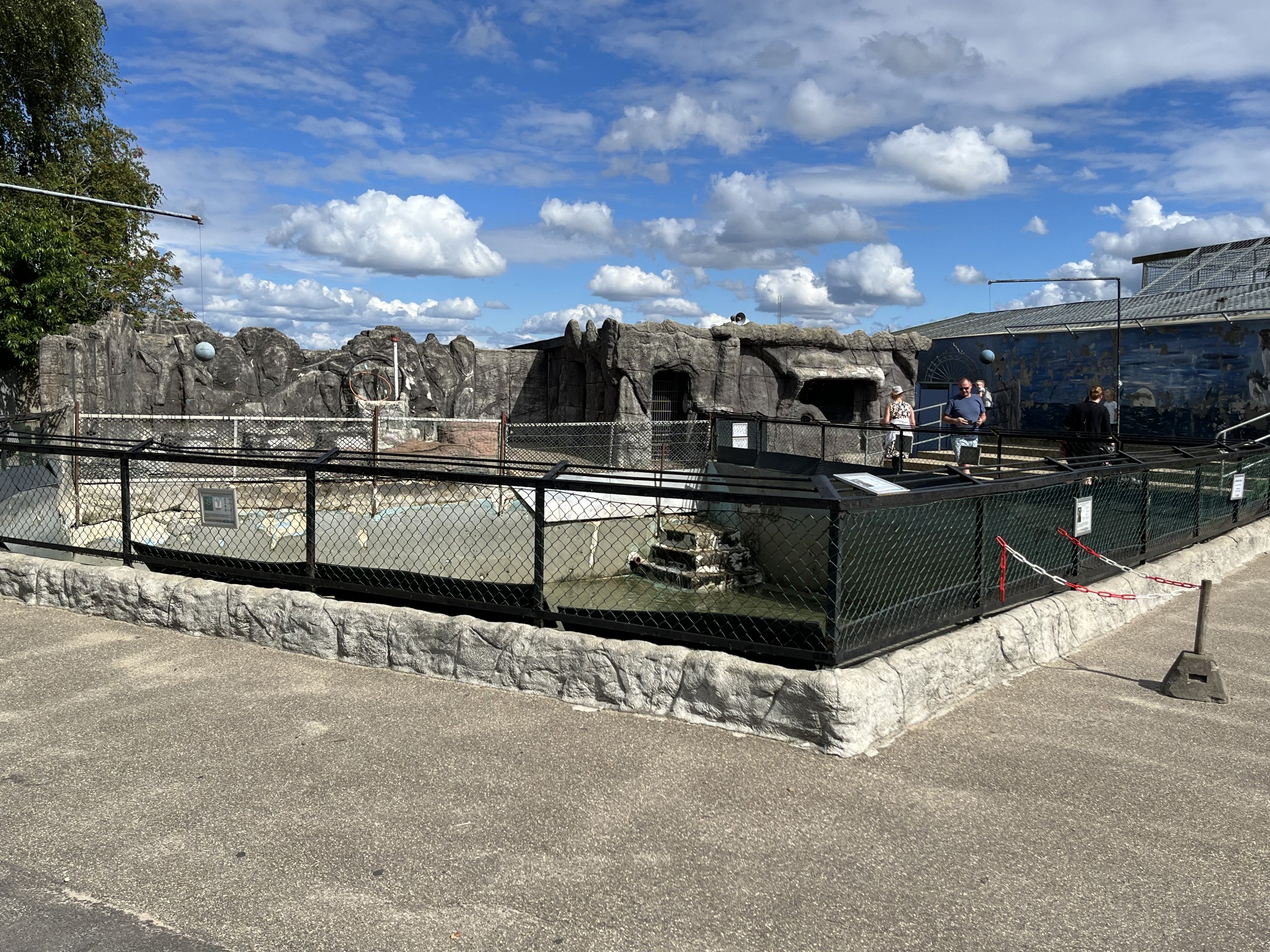 South African Fur Seal Exhibit