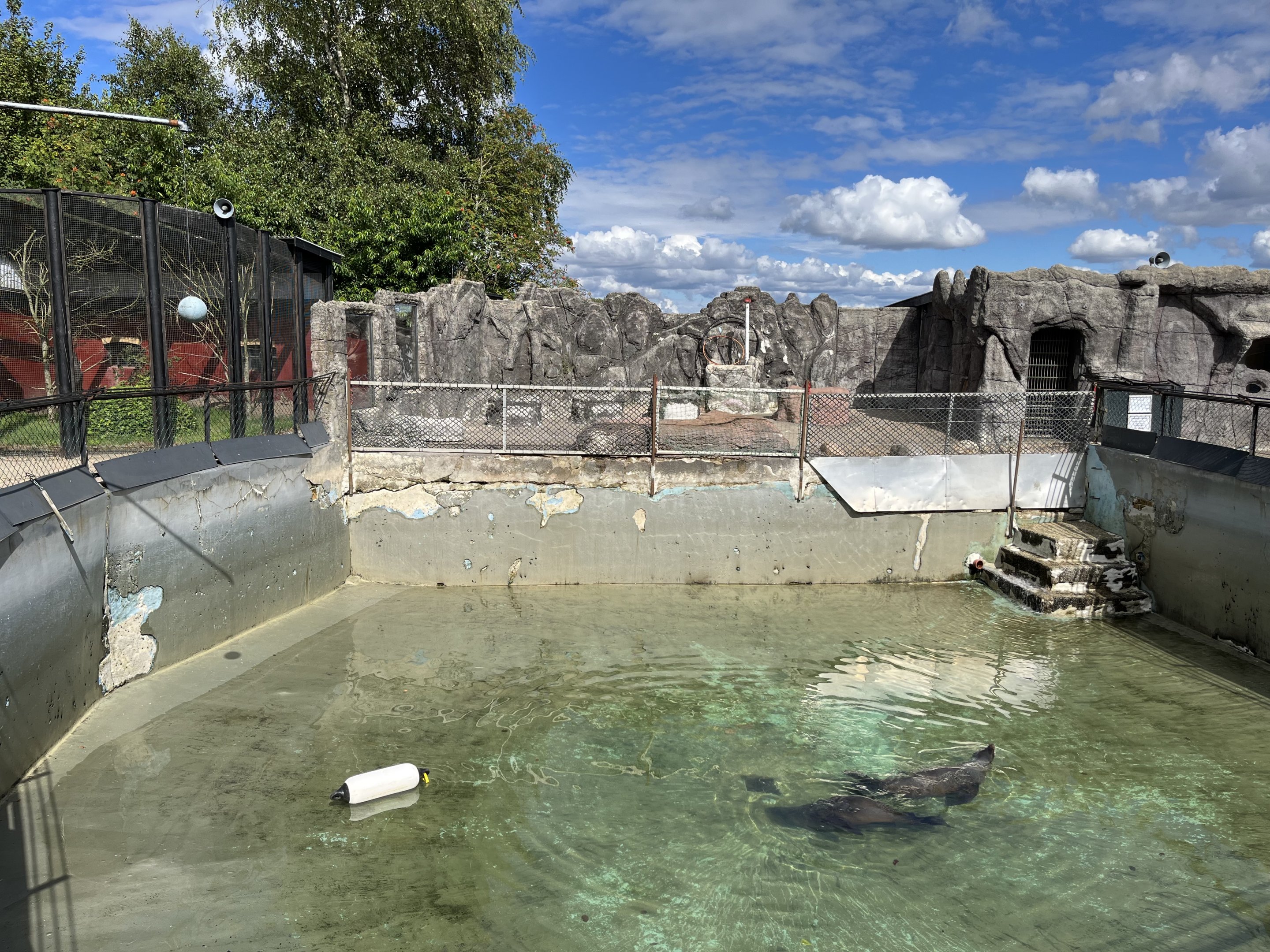 South African Fur Seal Exhibit