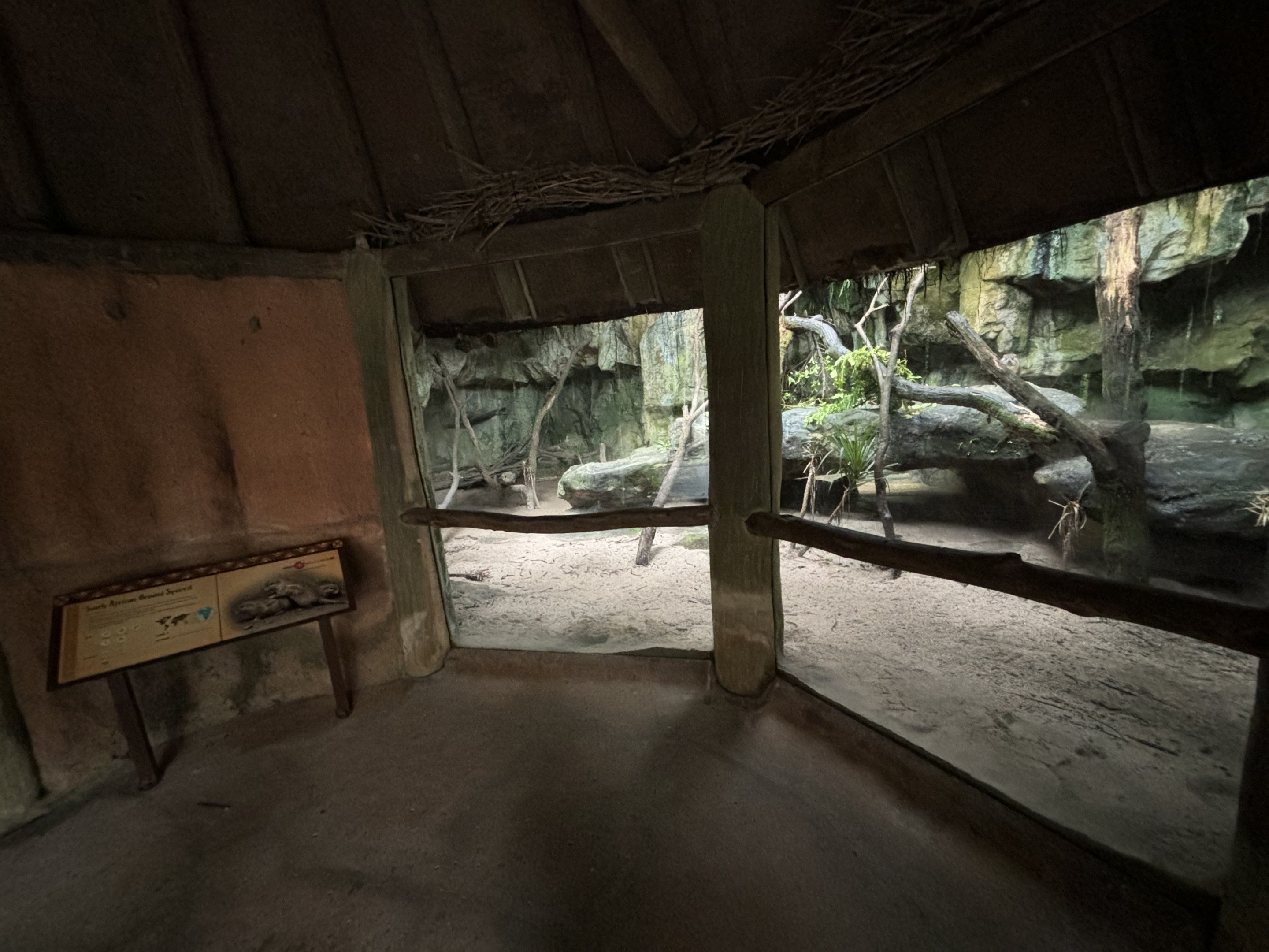 South African Ground Squirrel + Rock Hyrax Exhibit