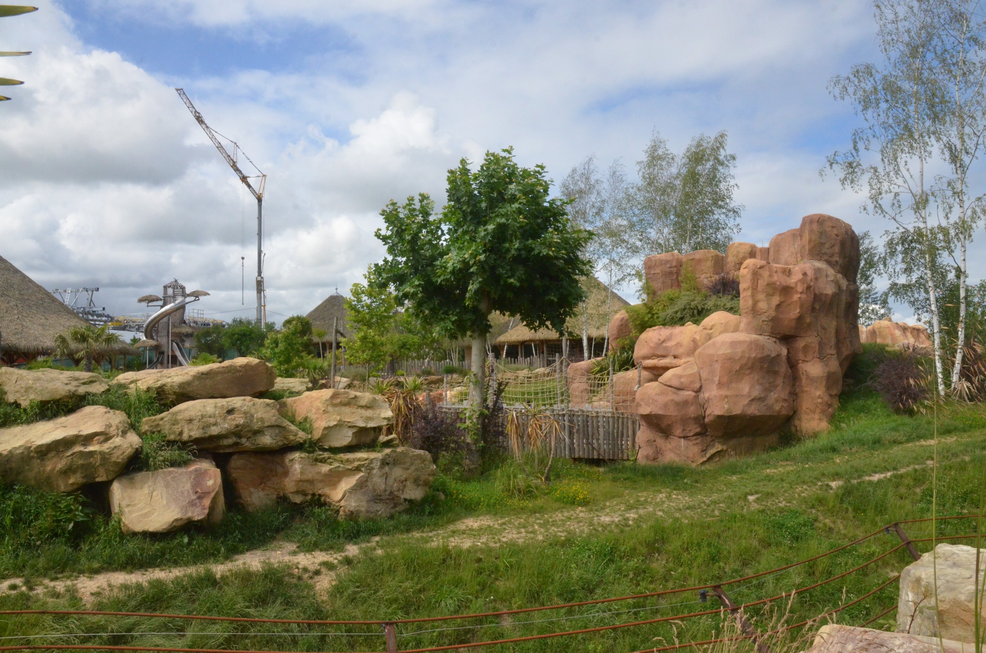 South African Lion Enclosure at Beauval, 12/06/18