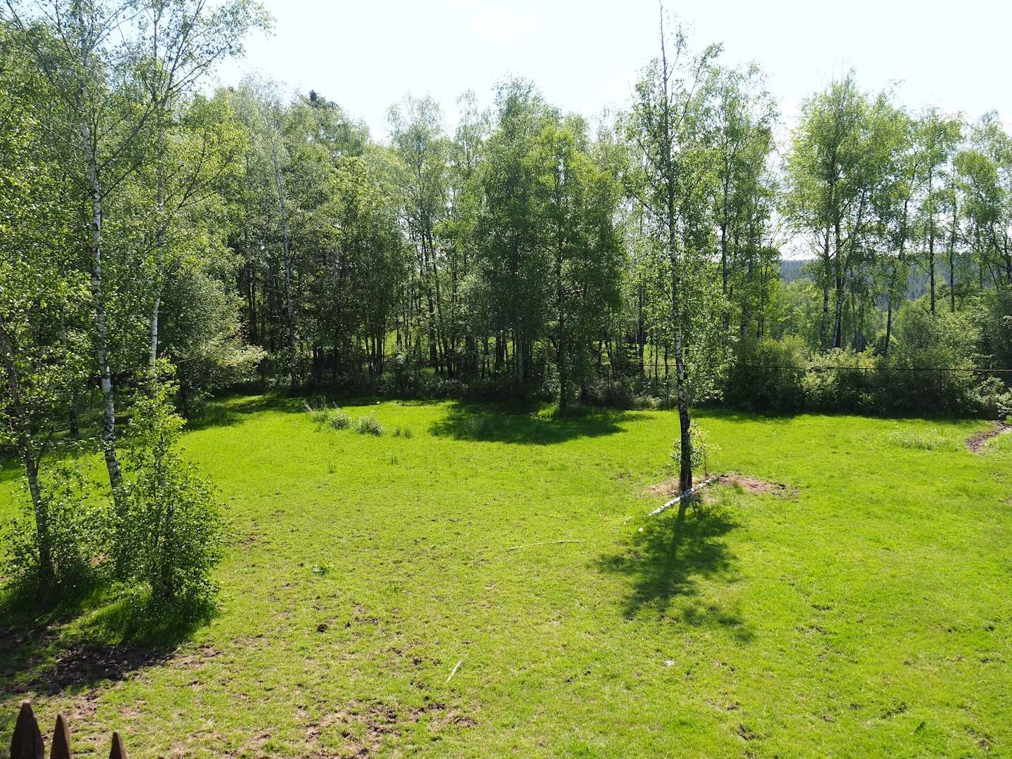 South African ostrich paddock, 2023-05-19