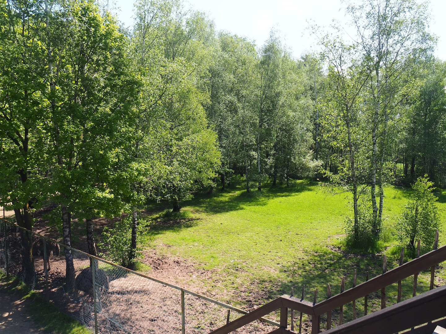 South African ostrich paddock, 2023-05-19