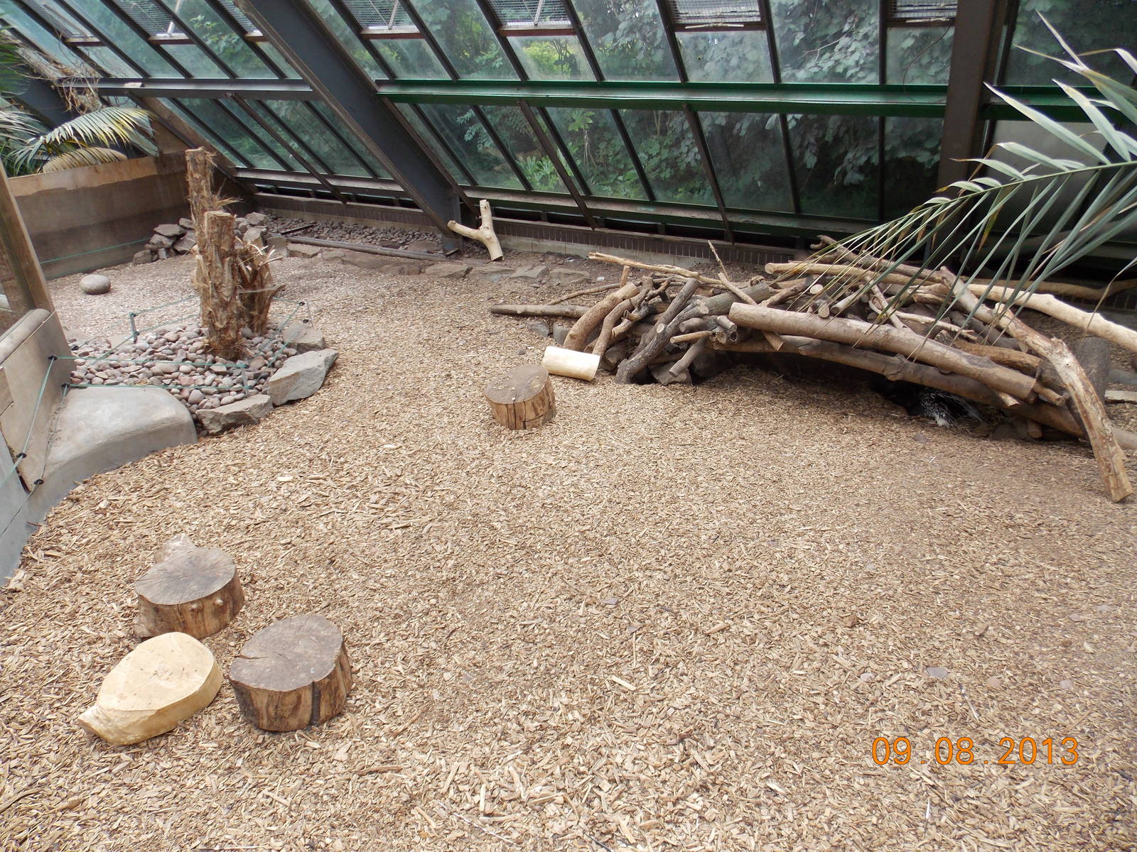 South African Porcupine Enclosure