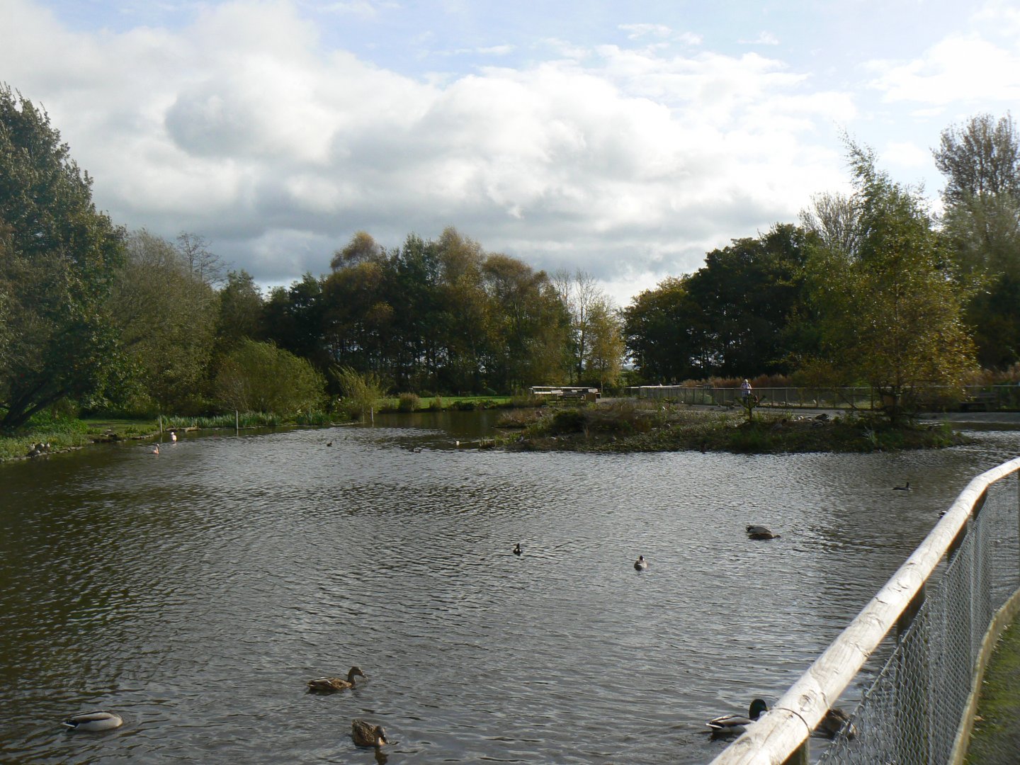 South America - 14 October 2017