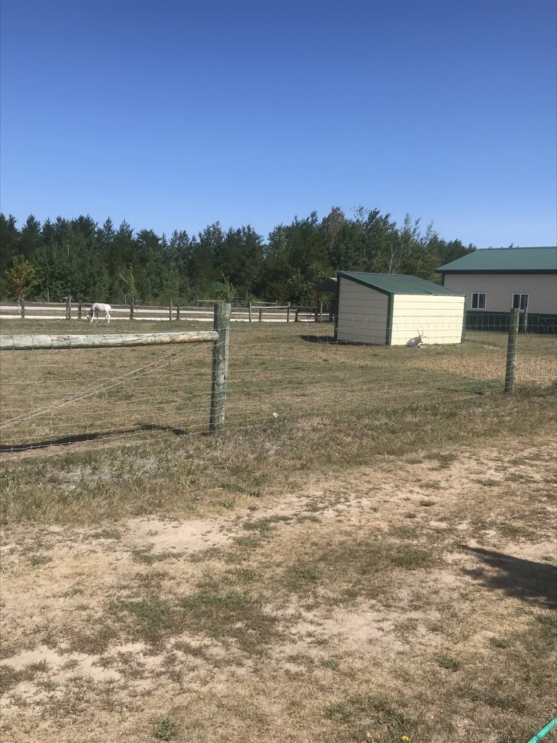 “South America”-addax exhibit