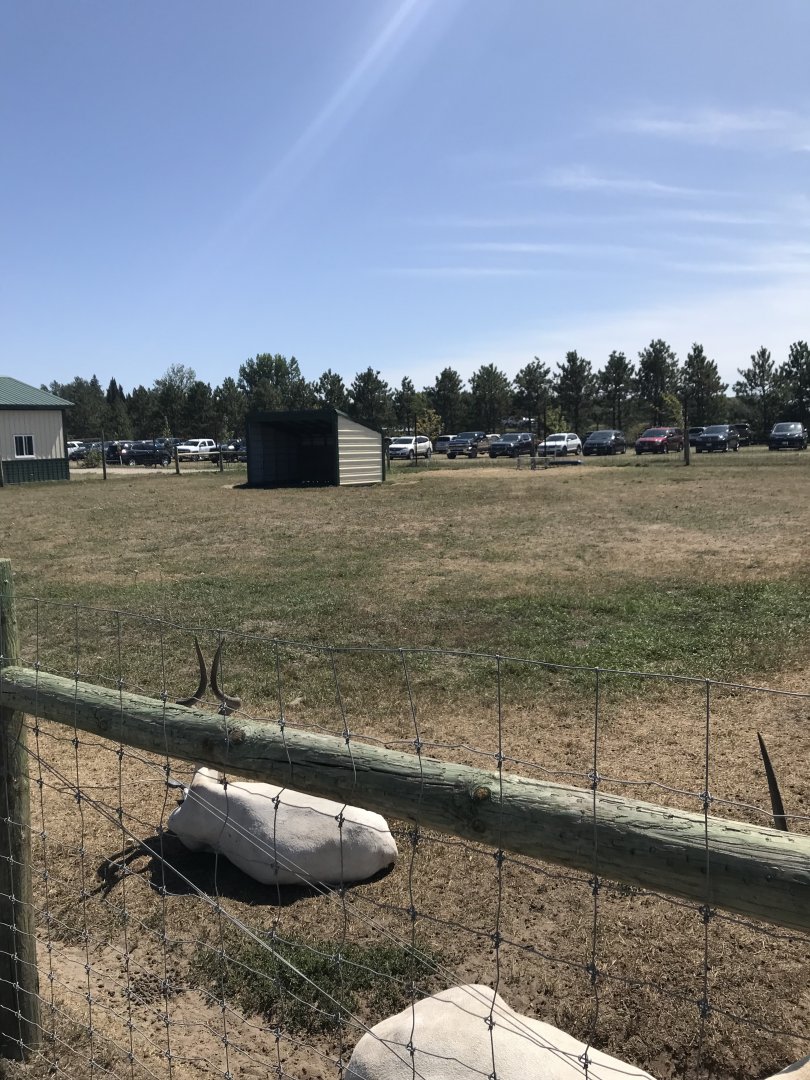 “South America”- addax exhibit