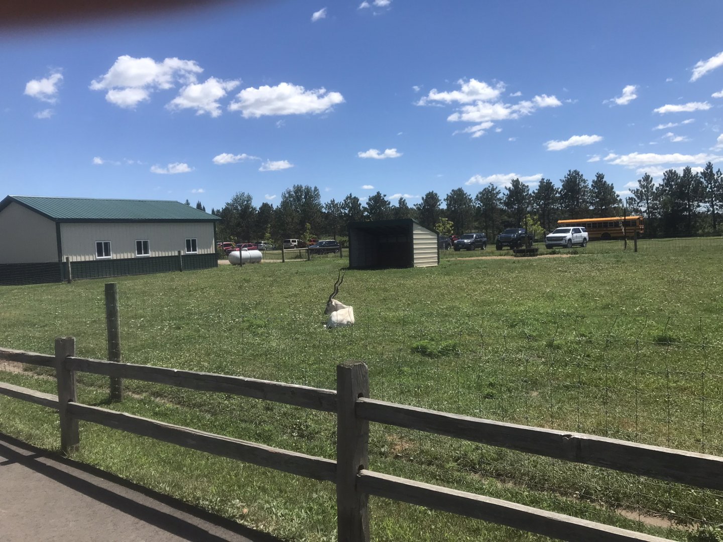 “South America” - Addax Exhibit