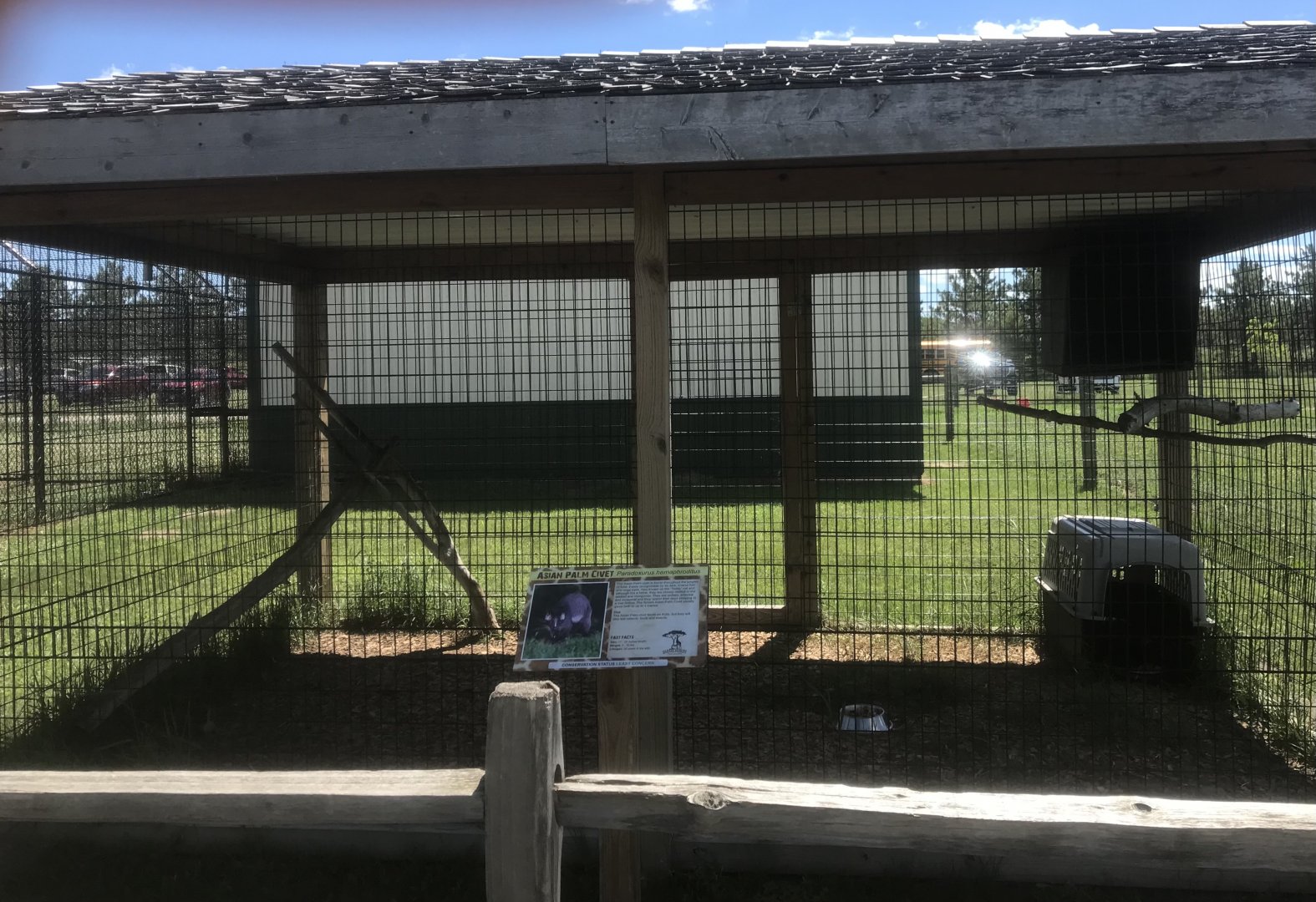 “South America” - African Civet Exhibit
