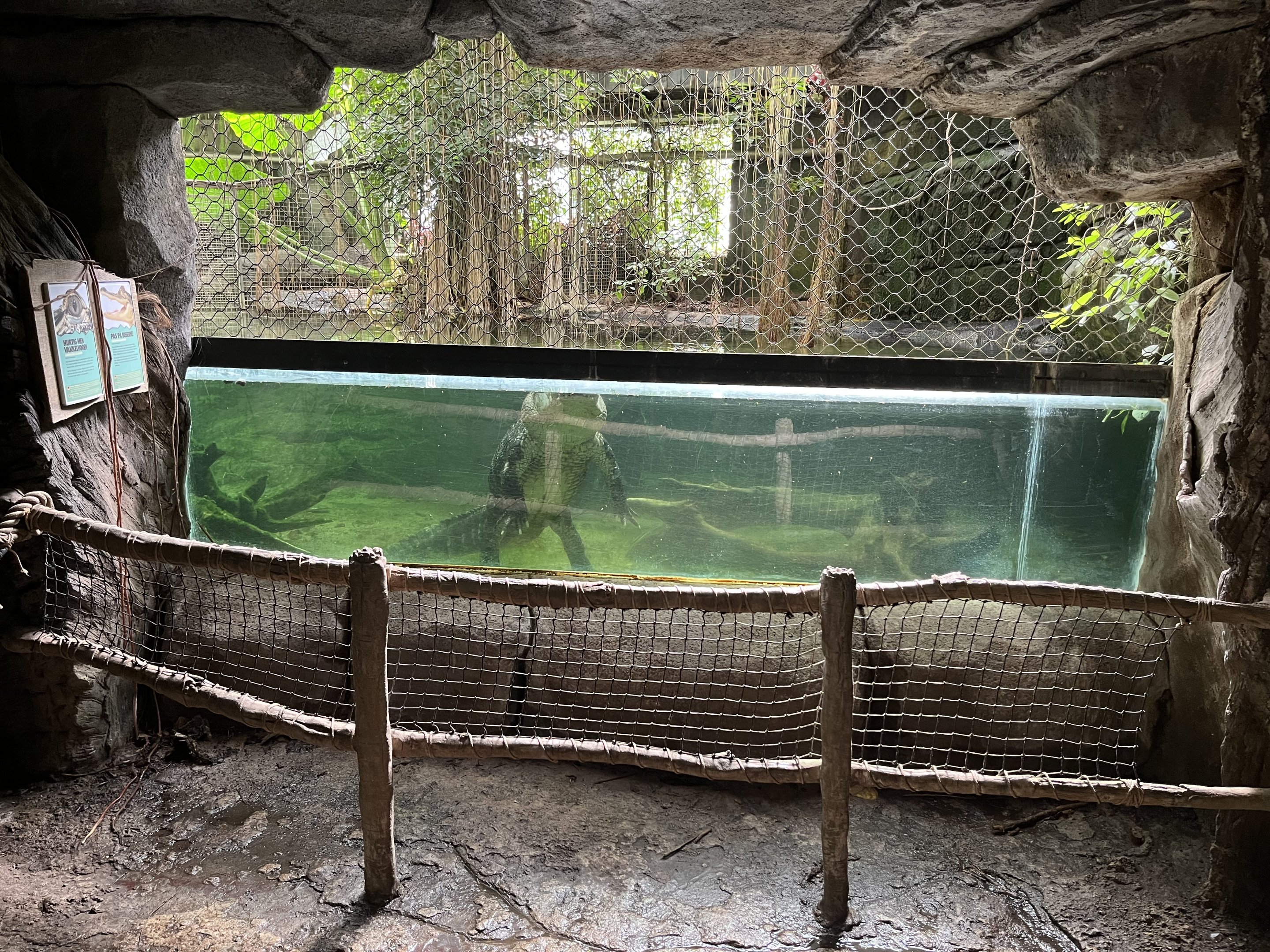 South America - Alligator Exhibit