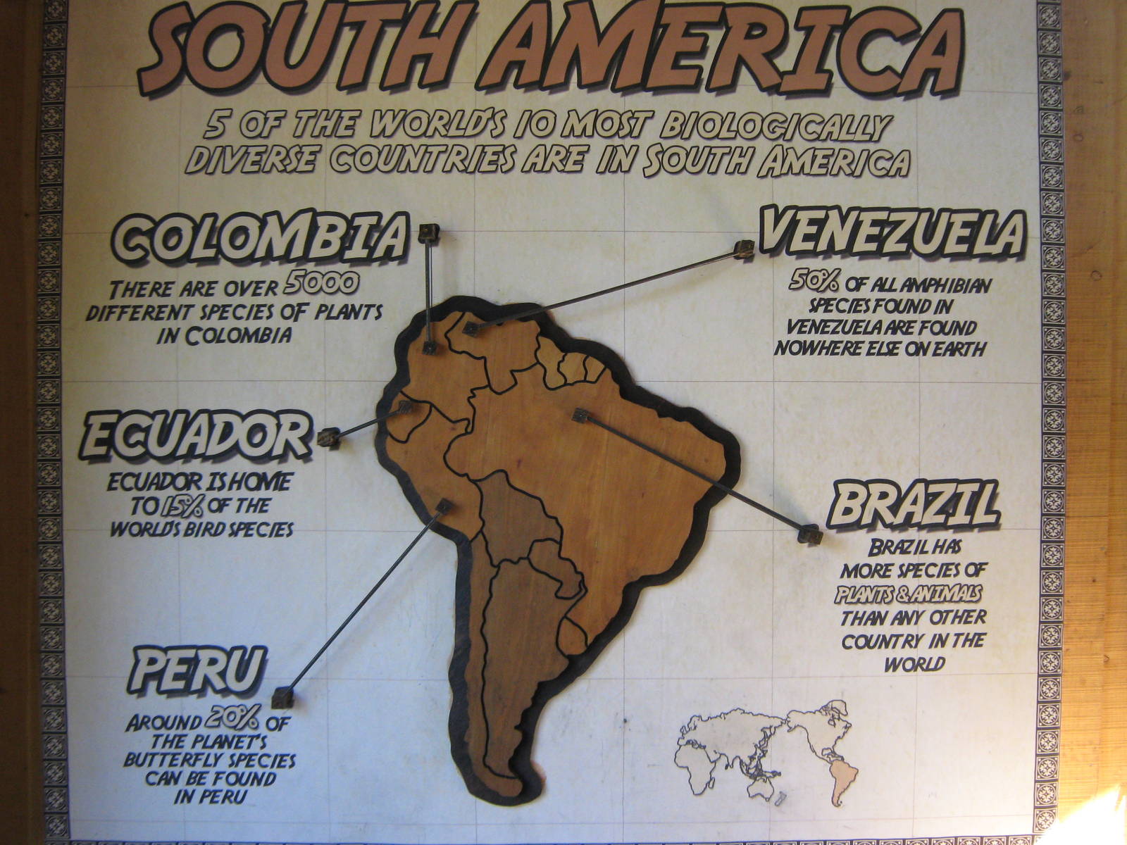 South America and biodiversity