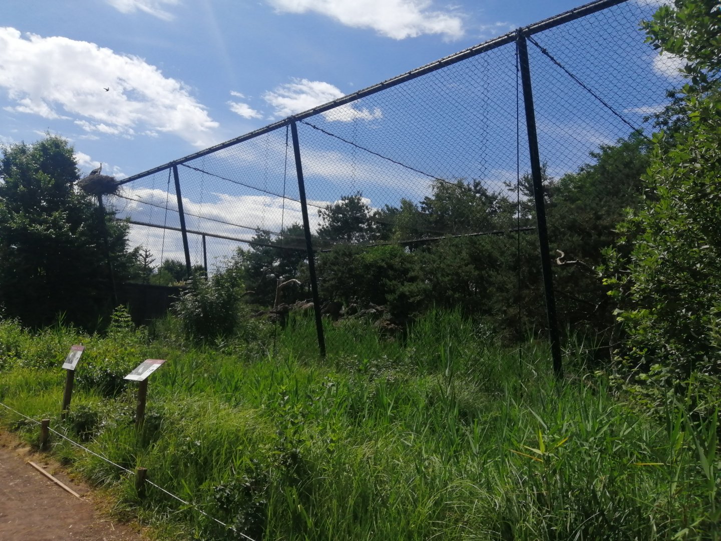 South America - Andean condor and ibis aviary