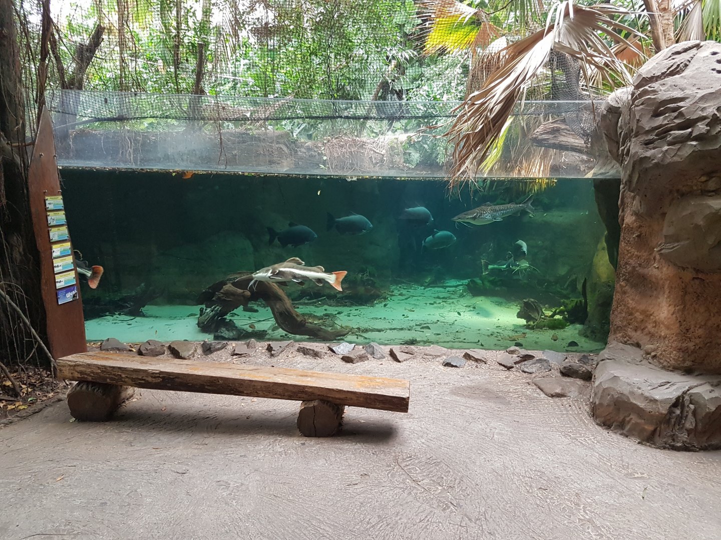 South America - aquarium