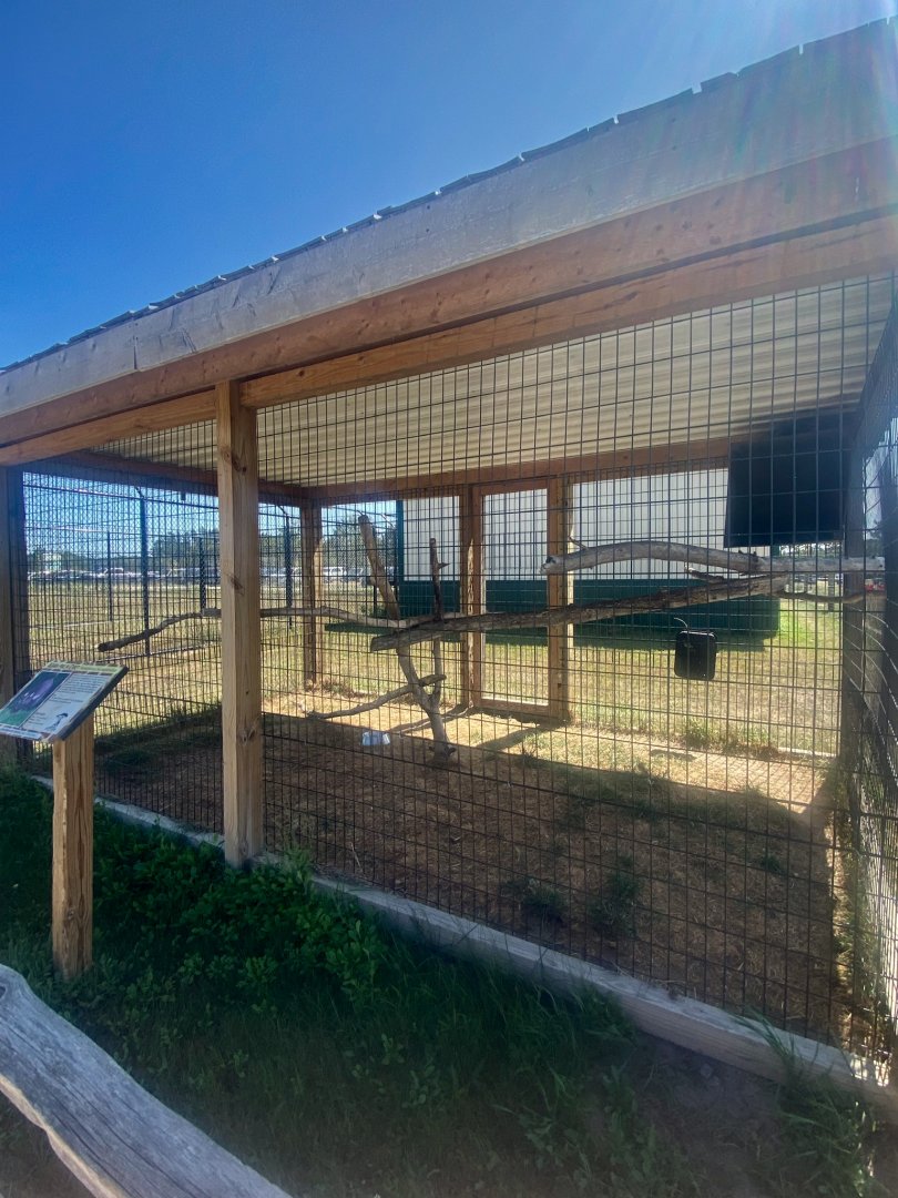“South America”- Asian palm civet exhibit