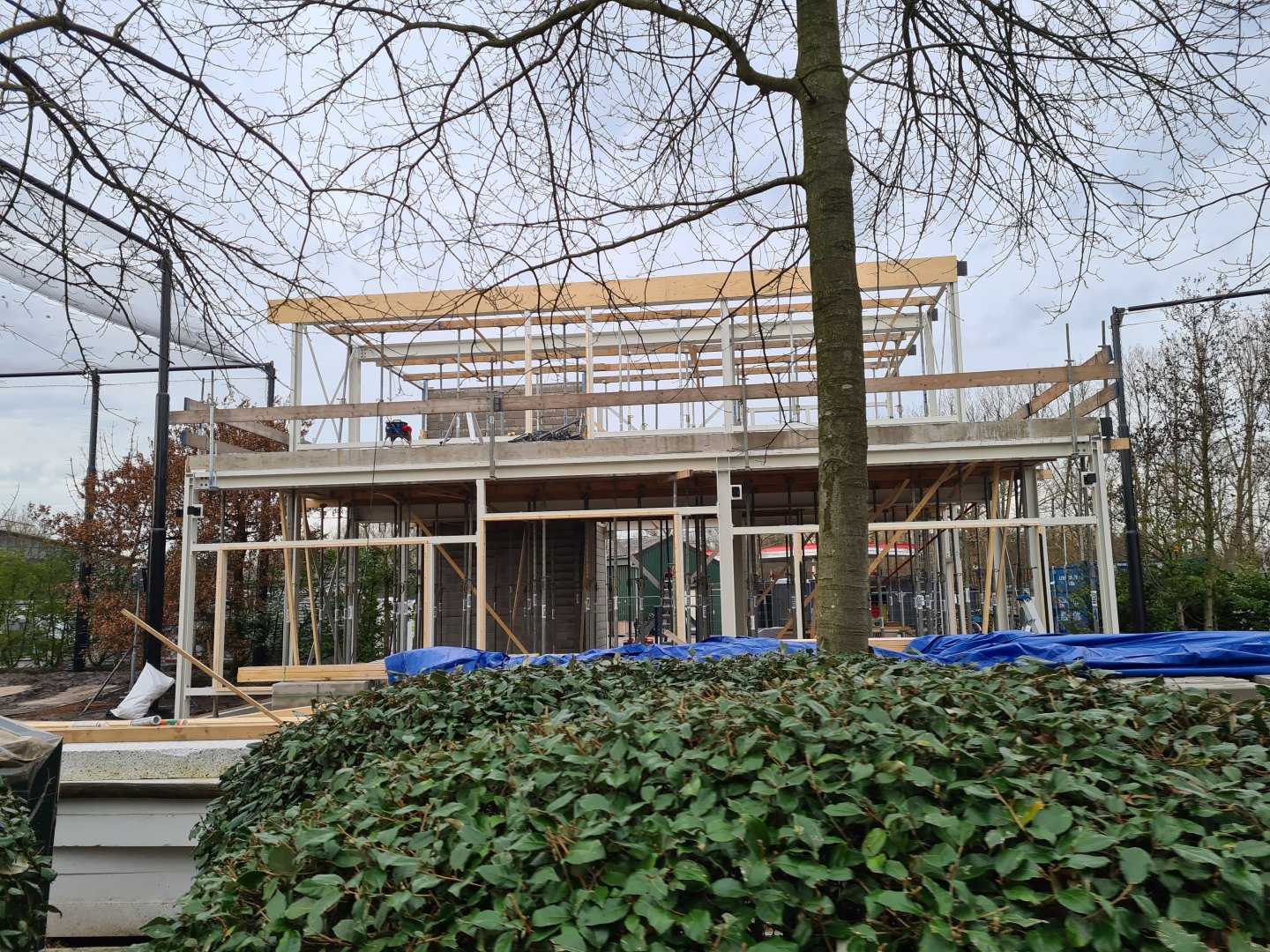 South America - Aviaries building site