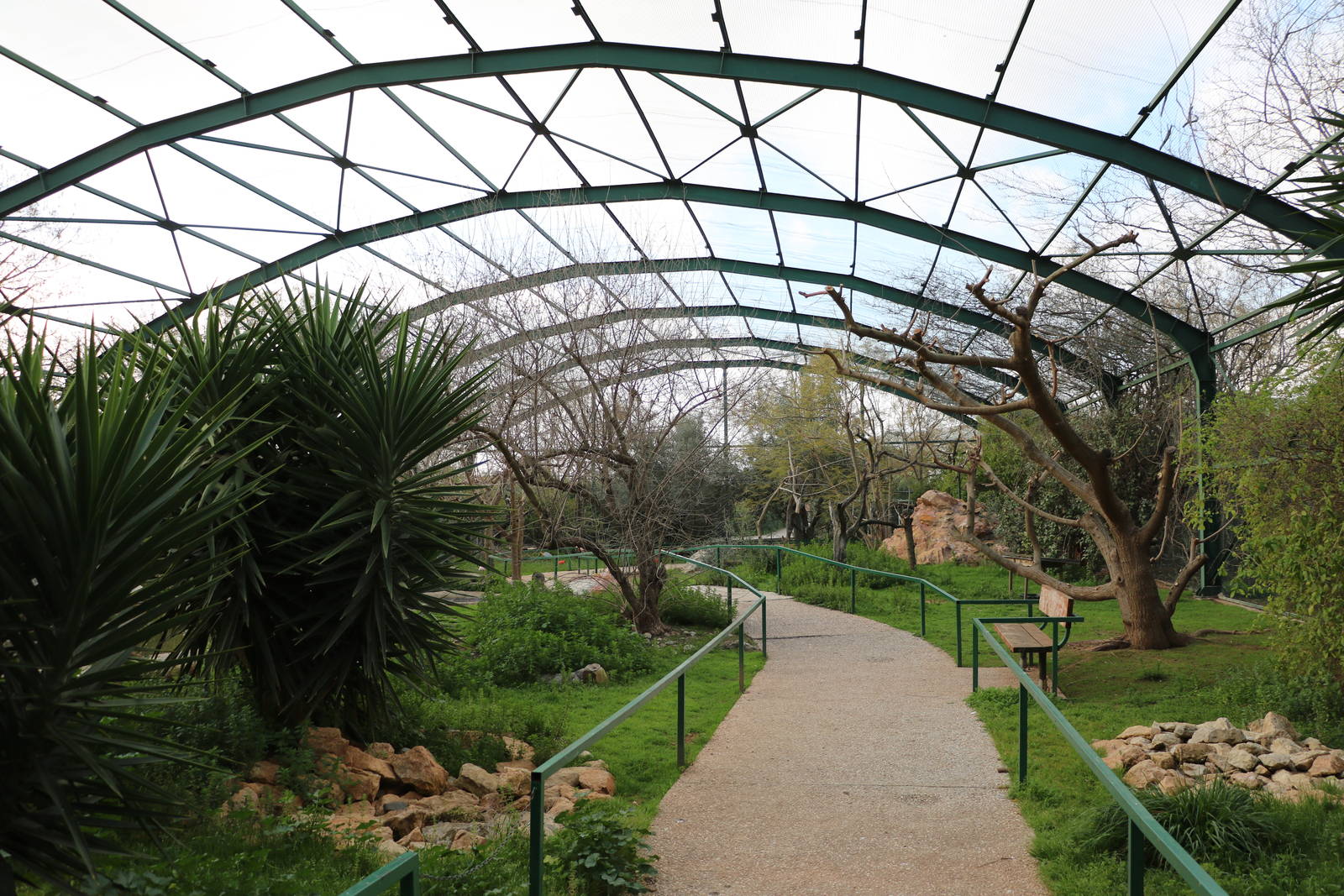 South America aviary, February 2016