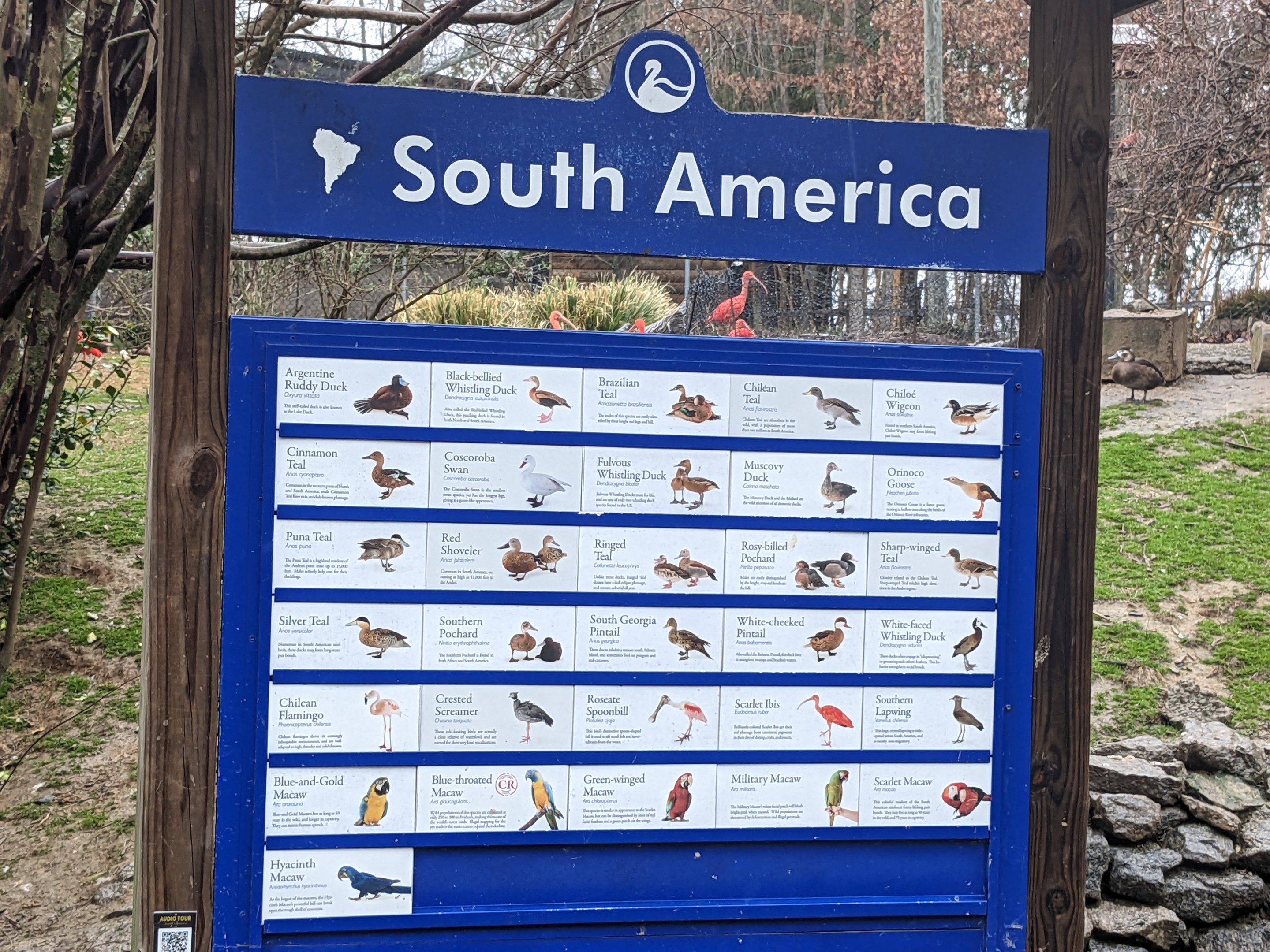 South America Aviary - sign