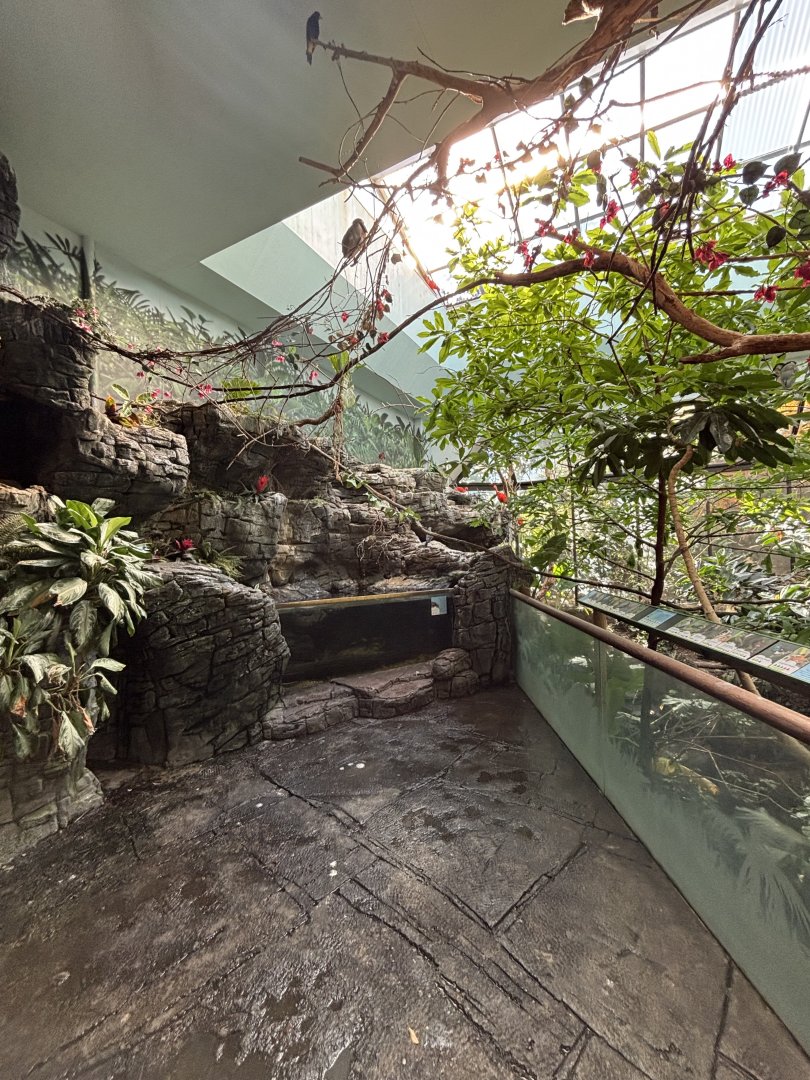 South America Aviary - Wings of the World