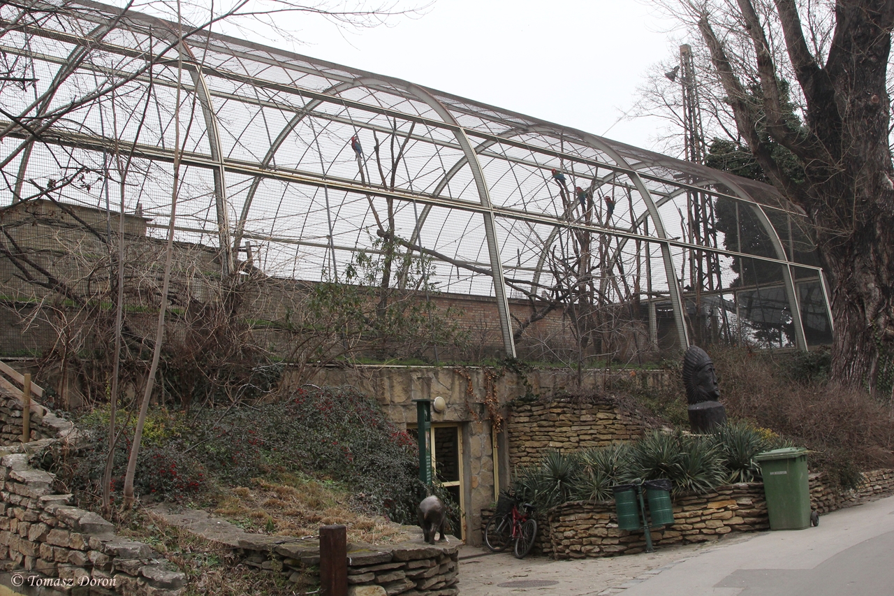 South America Aviary