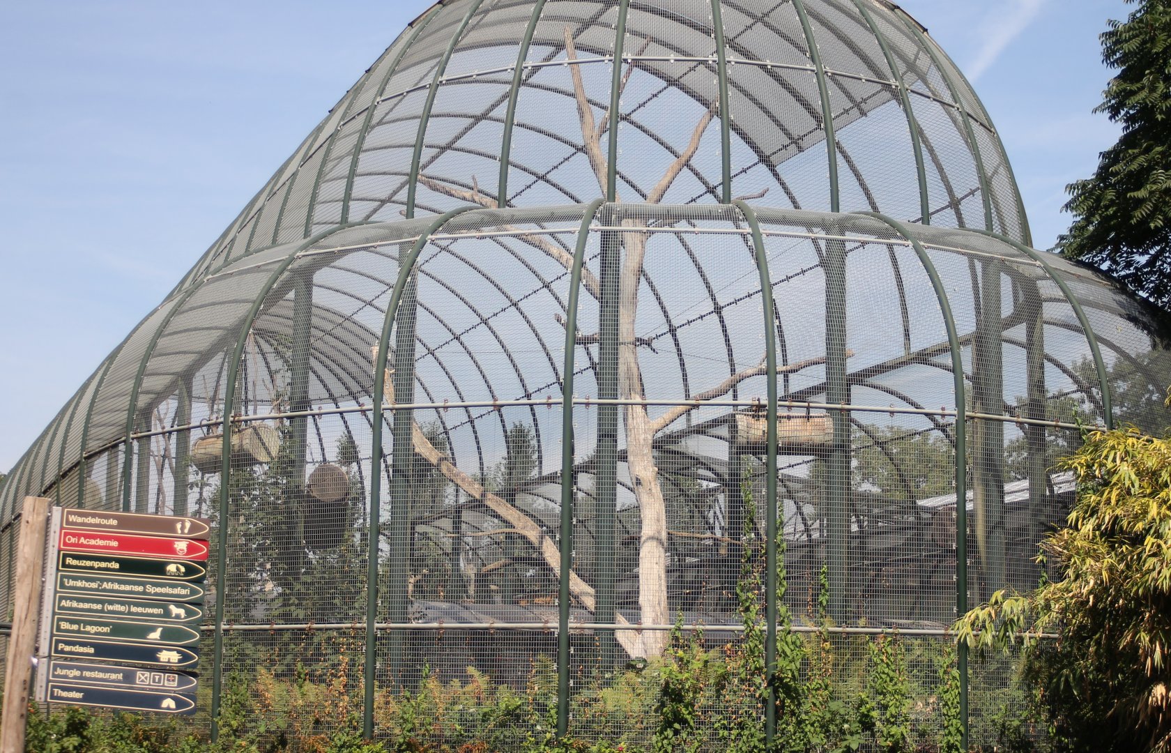 South America-aviary