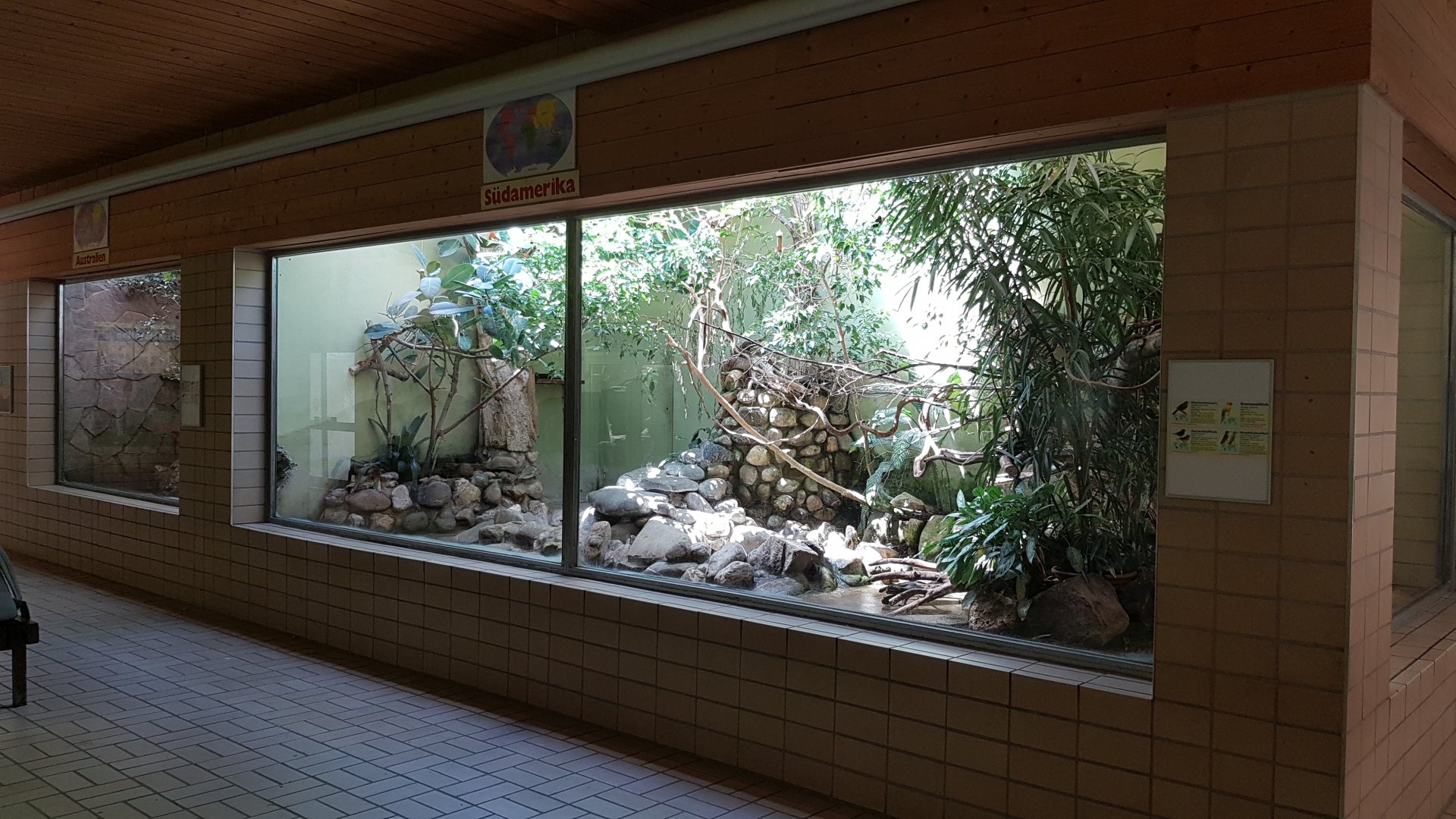 South America aviary