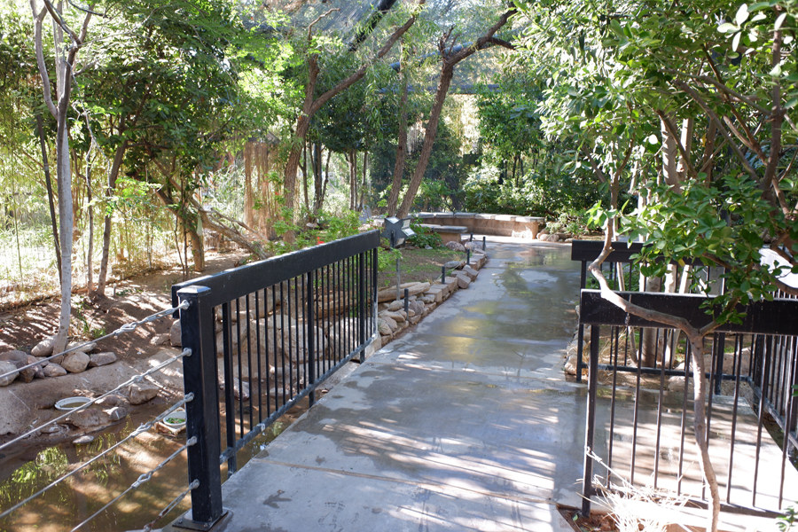 south america aviary