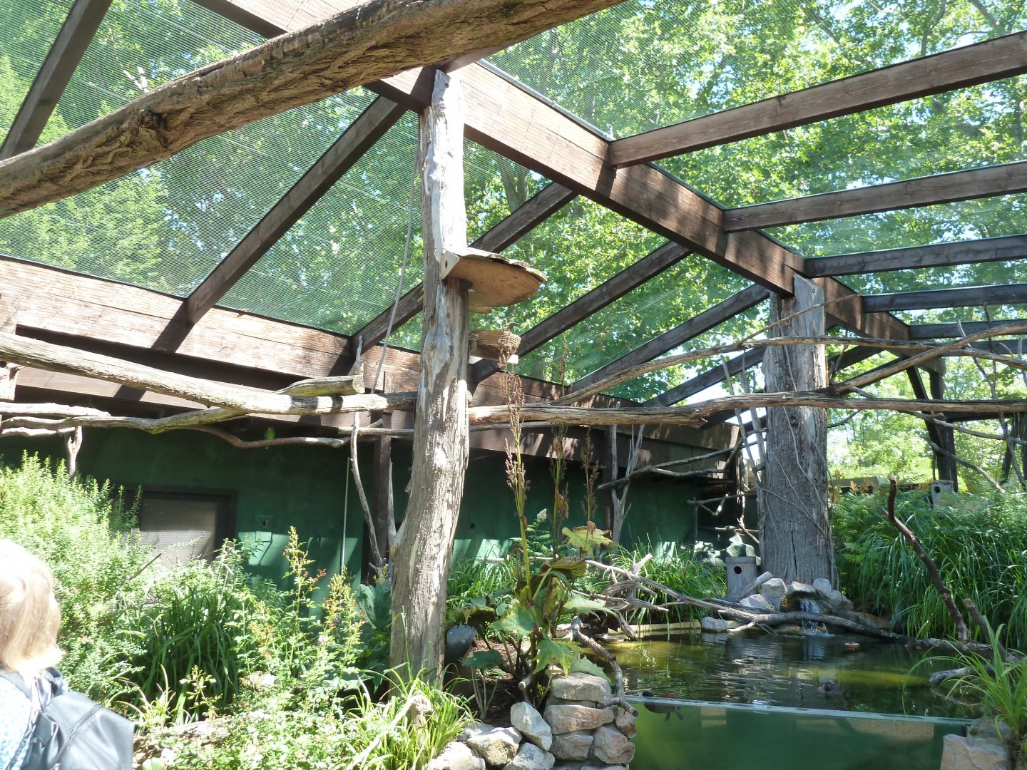 South America aviary