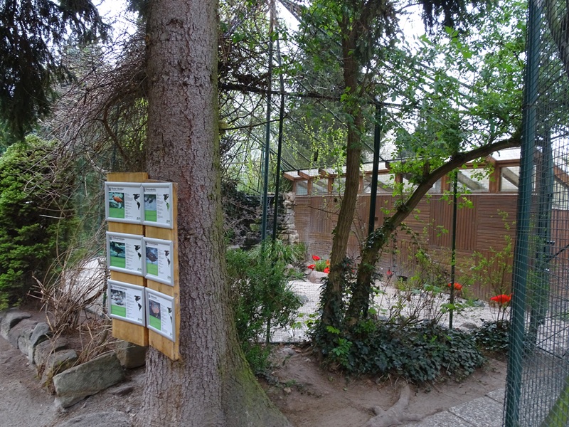 South America aviary